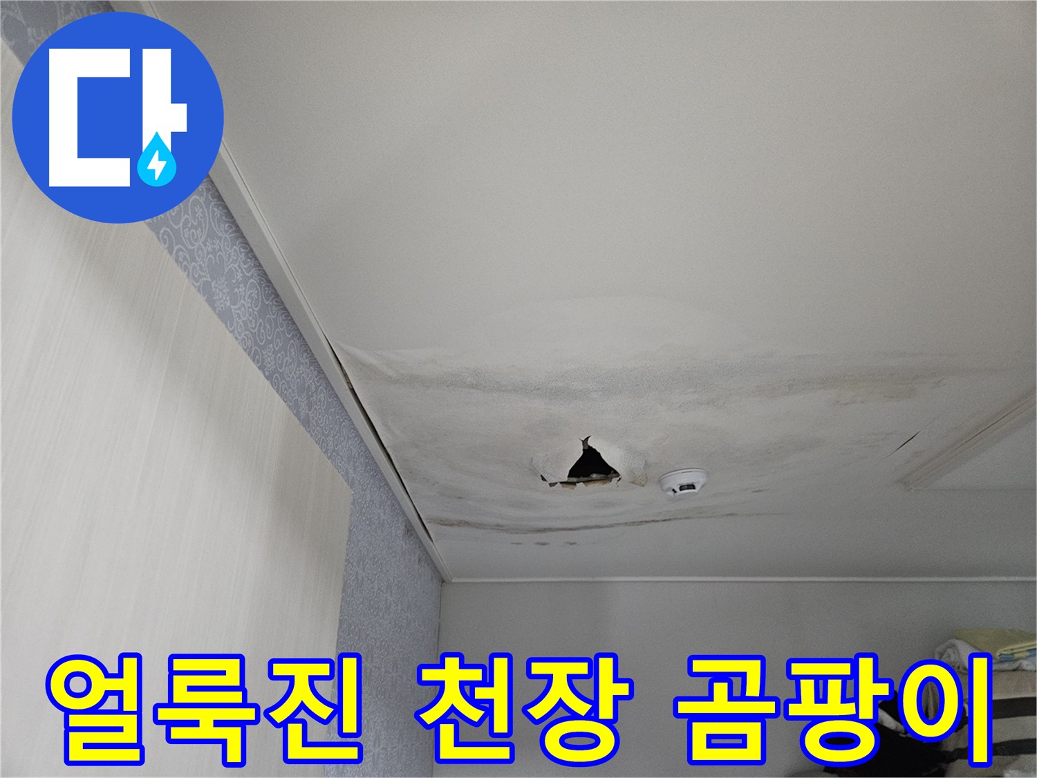 천호1동 누수 - 얼룩진 천장, 곰팡이 발생 위험이 있어요