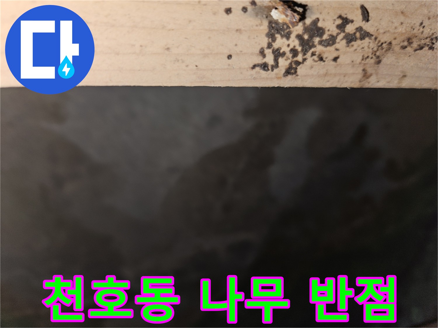 천호2동 573 누수 - 나무 모서리 반점 - 곰팡이