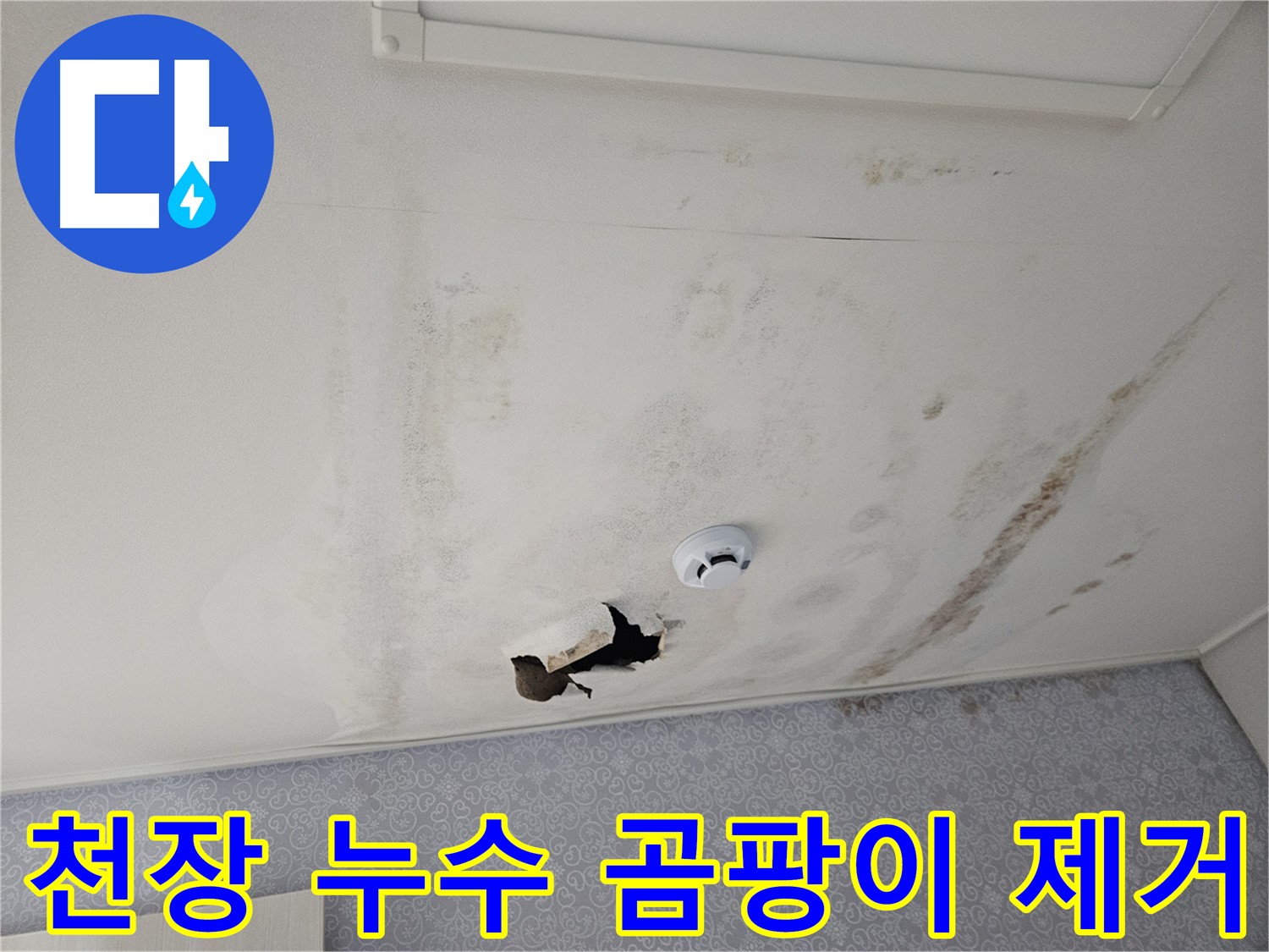 천호동 강동리버스타운 아파트 천장 누수 - 곰팡이 제거 후 깨끗해진 천장 - 쾌적한 환경을 되찾았습니다