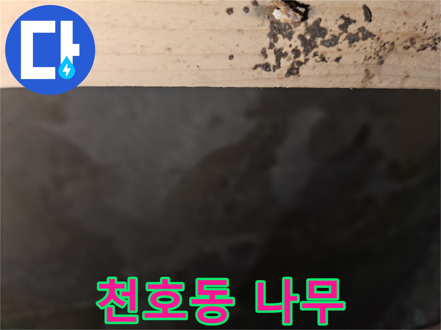 천호동 누수탐지 - 나무 겉면 얼룩 분석 - 해결