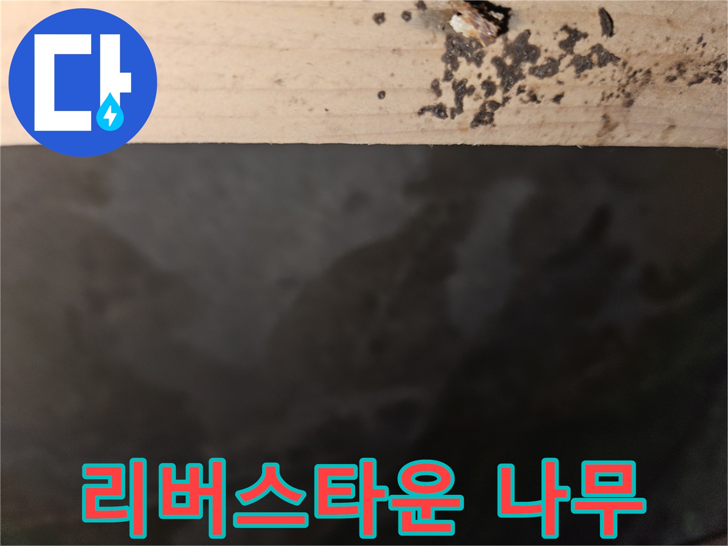 천호동 리버스타운 누수 - 나무 겉면 곰팡이 - 조치 필요