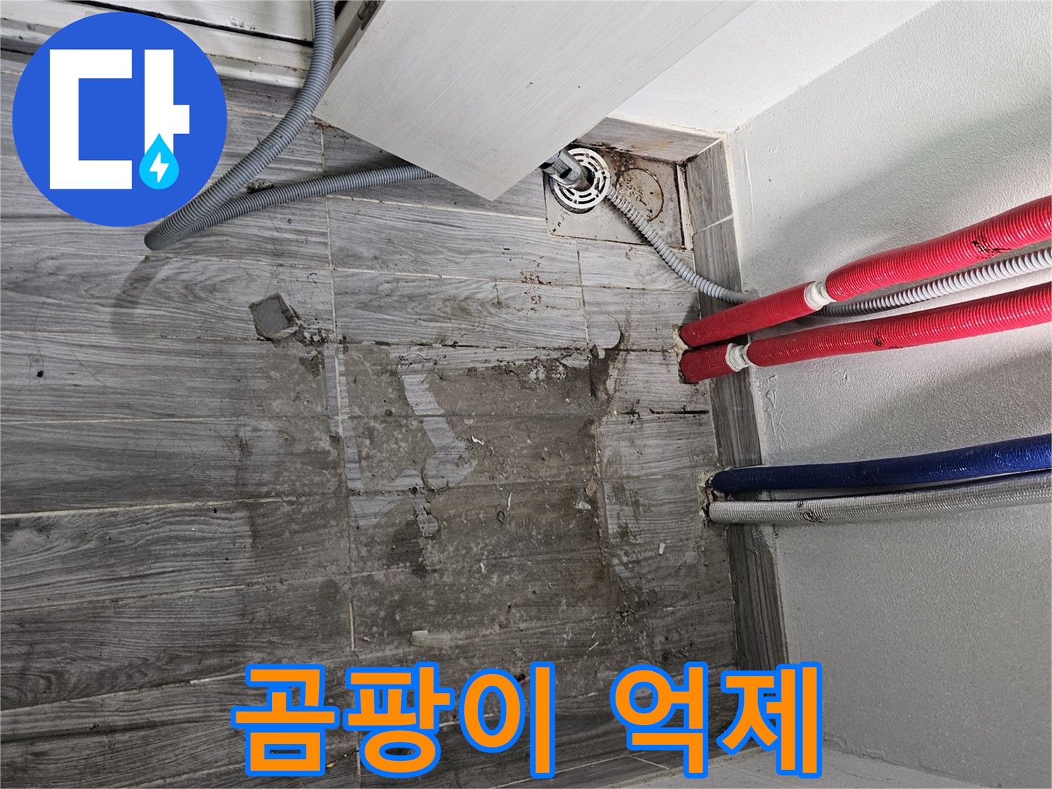 천호동 세탁실 누수 - 곰팡이 번식 억제 필수