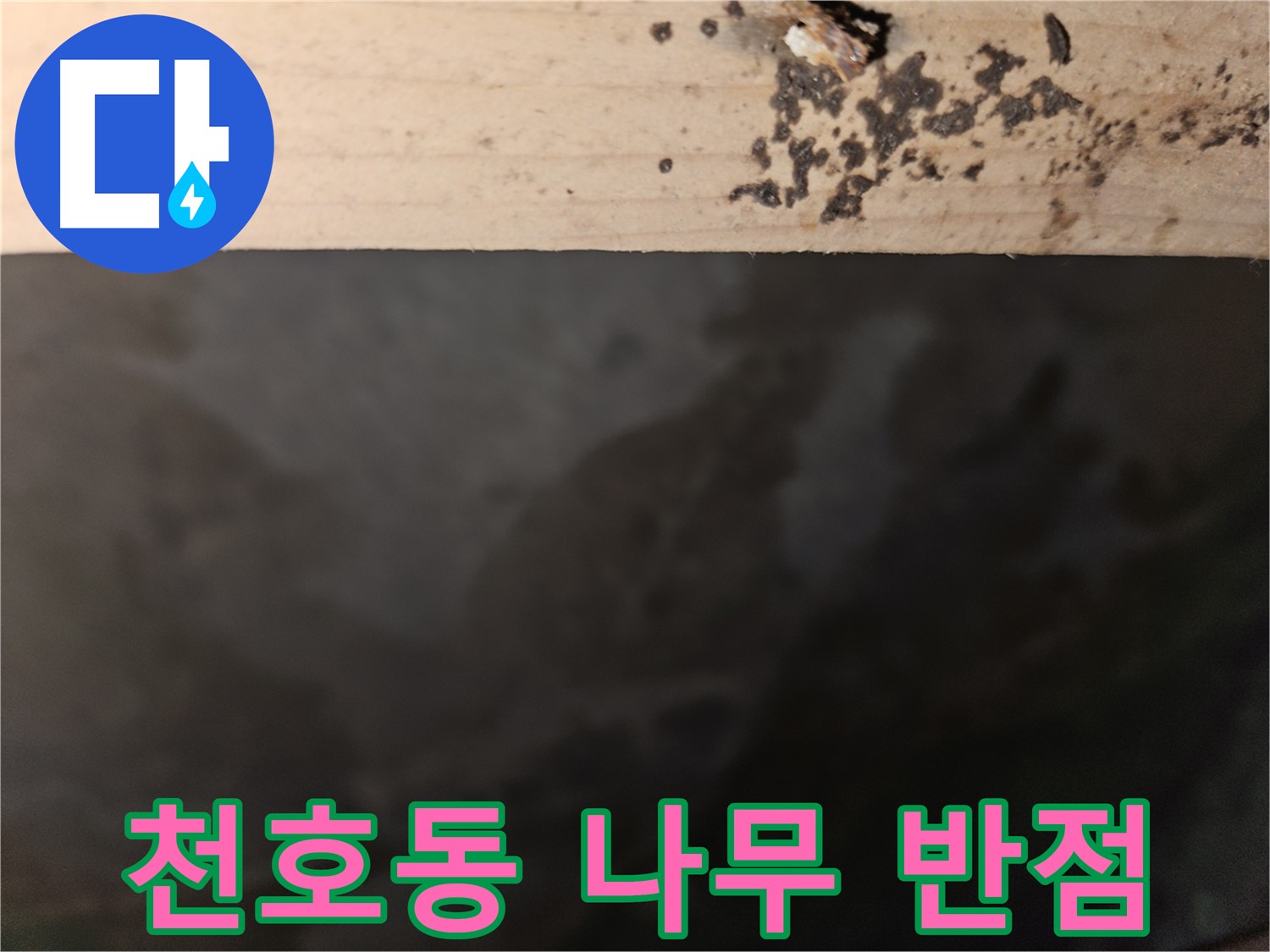 천호동 아파트 누수 - 나무 윗면 반점 - 초기