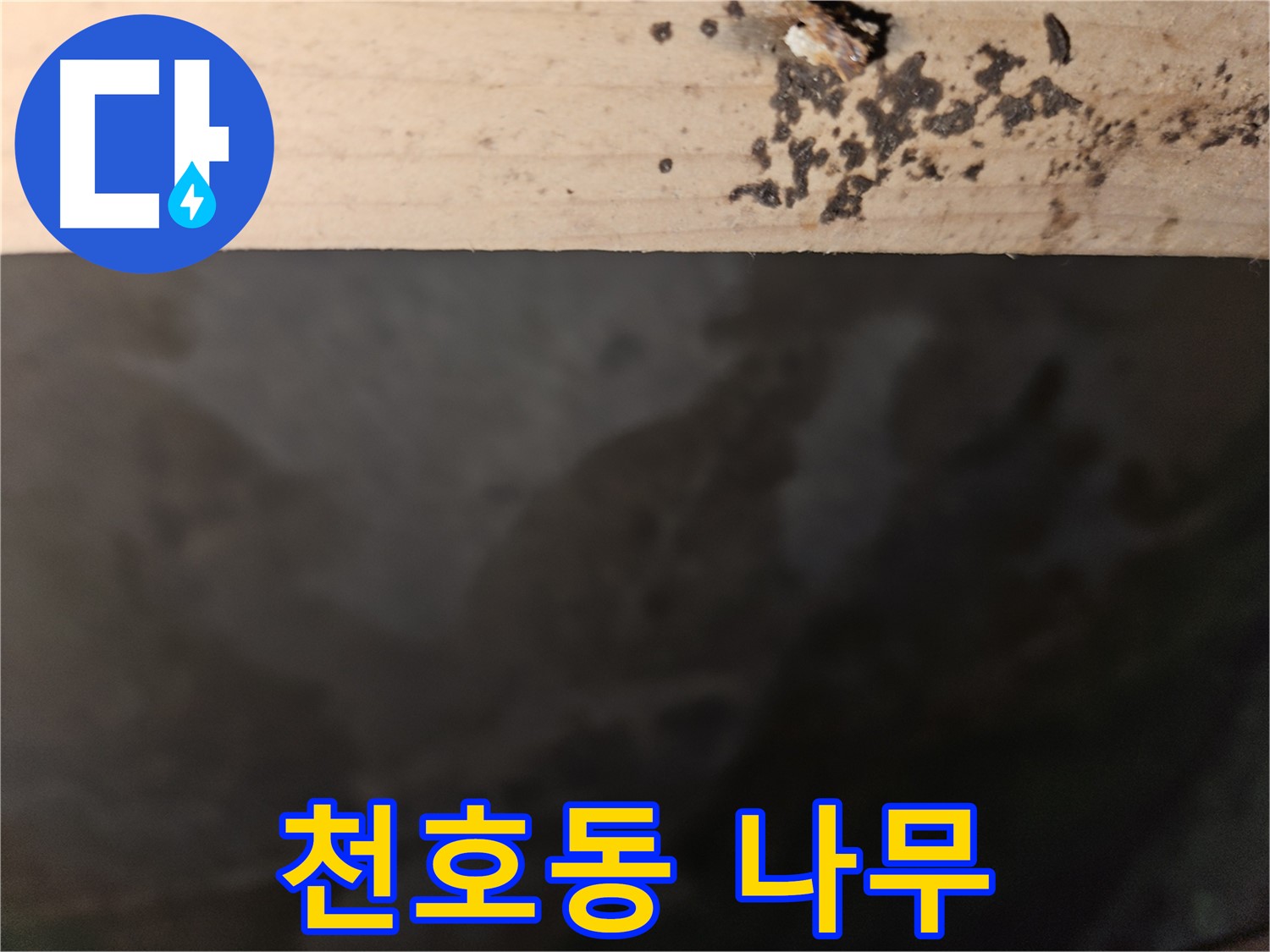 천호동 아파트 누수 - 나무 표면 점 차단 - 최고