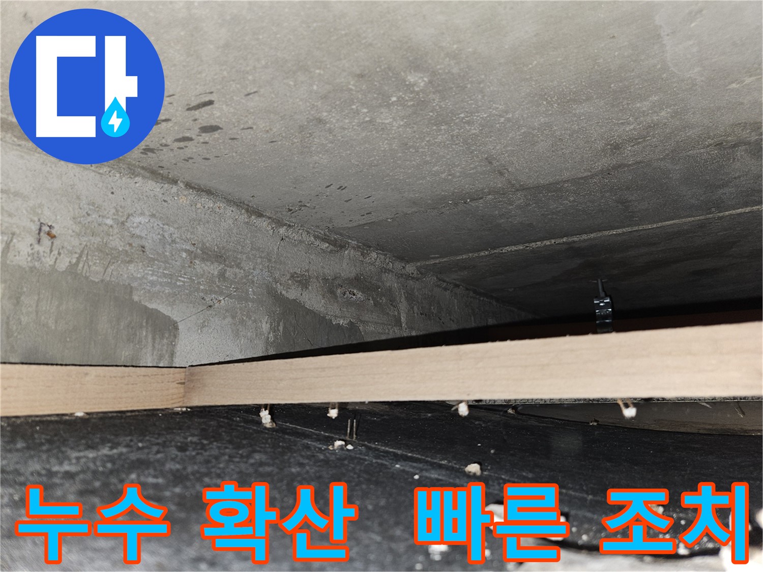 천호동 아파트 누수 - 누수 범위 확산, 빠른 조치가 중요