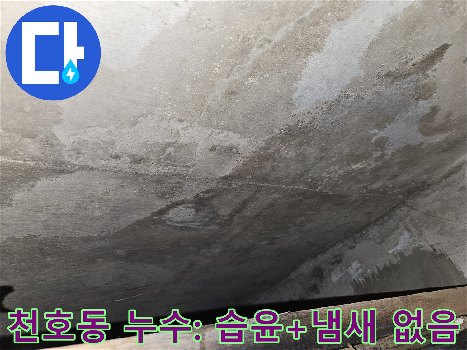 천호동 아파트 누수 - 습윤과 곰팡이 냄새 거의 없음은 누수 의심