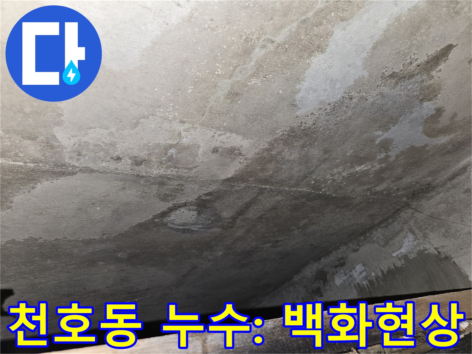 천호동 아파트 콘크리트 백화 - 누수의 흔적을 보여주는 증거