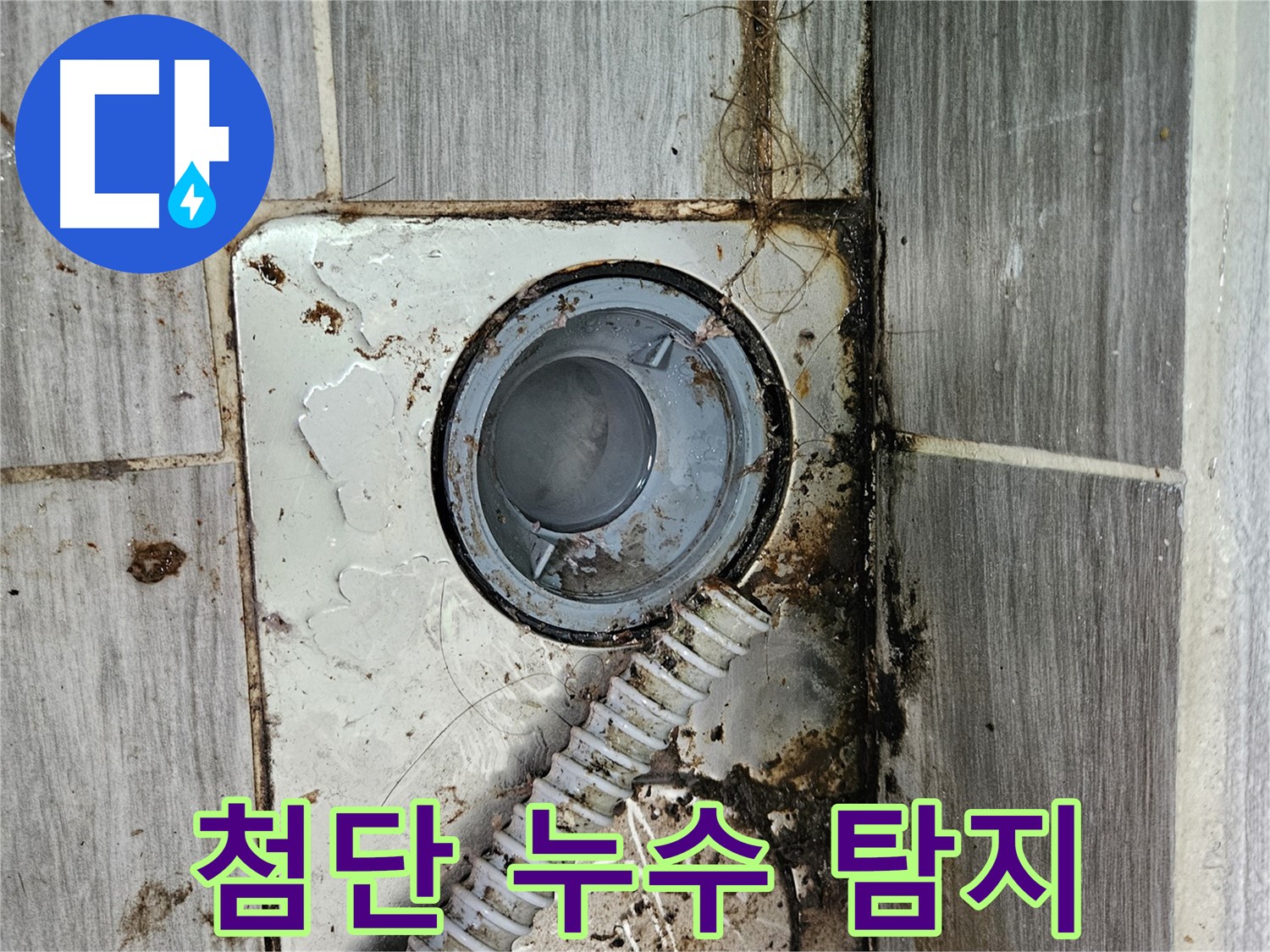 최첨단 누수 탐지 장비 - 정확한 누수 지점 파악 및 해결