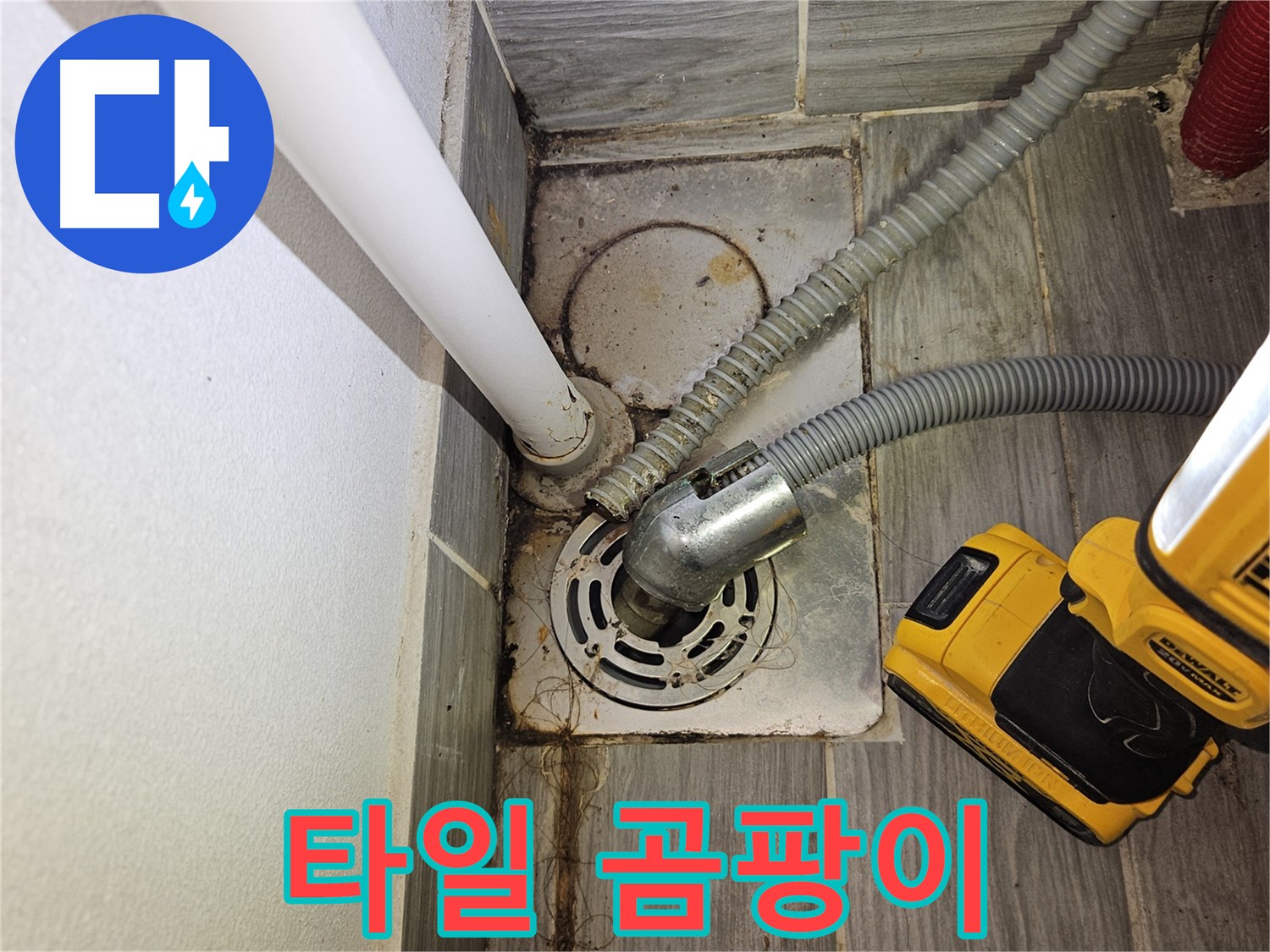하수구 주변 타일 곰팡이 - 습기 장기화