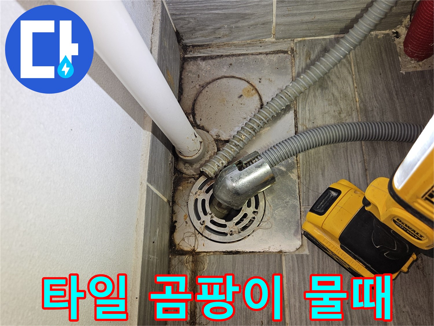 하수구 주변 타일 곰팡이와 물때 - 청소 필요