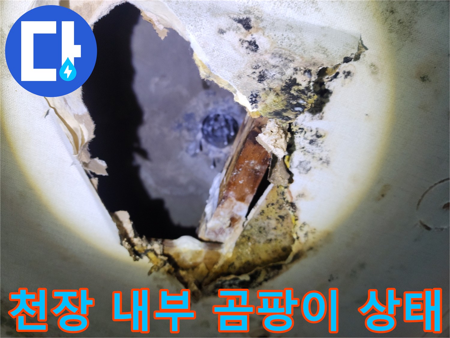배관 주변에 발생한 검은 곰팡이와 젖은 천장 마감재