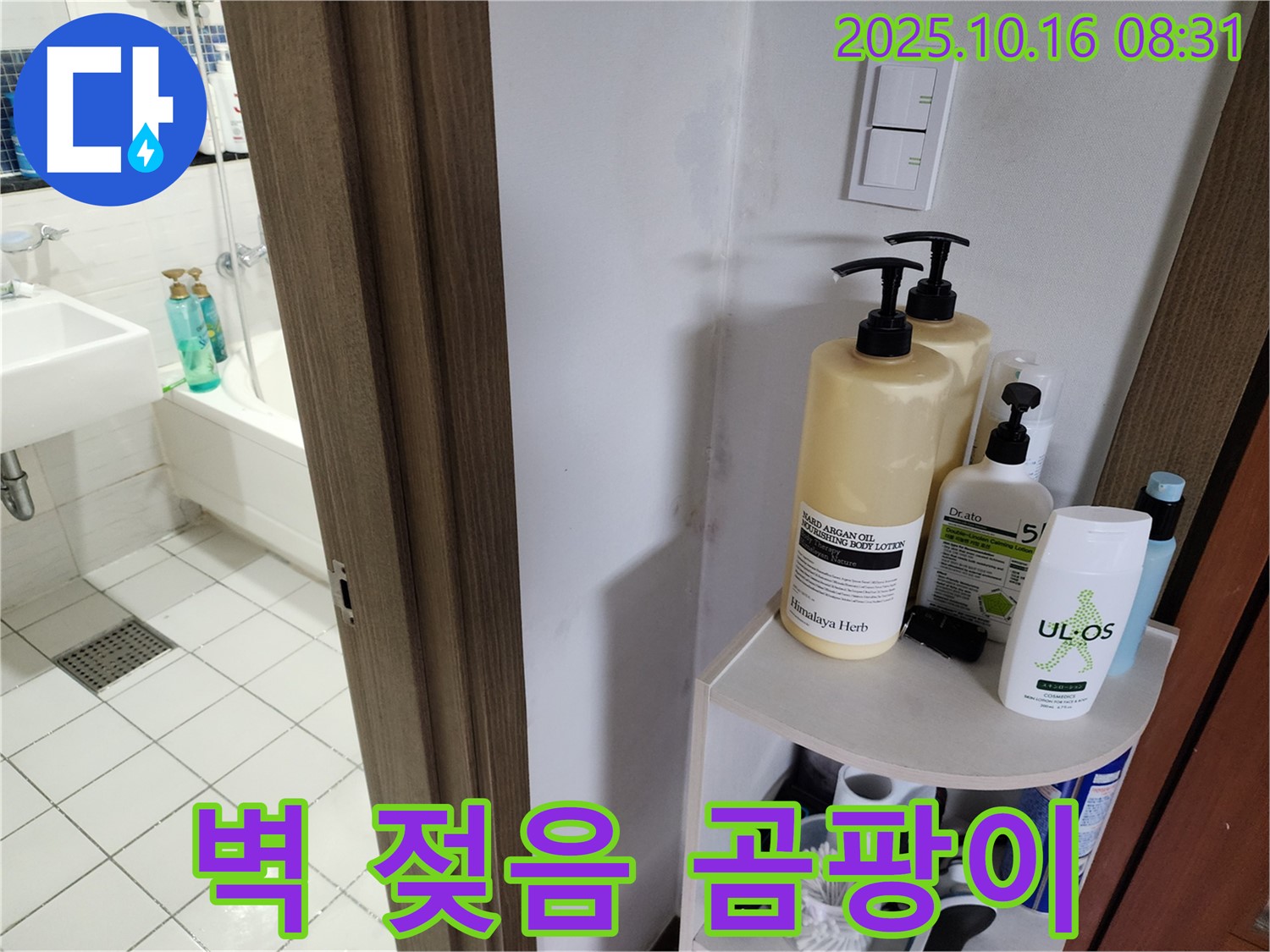 양주 경신리 욕실 누수 - 젖은 벽과 곰팡이, 누수 가능성 확인