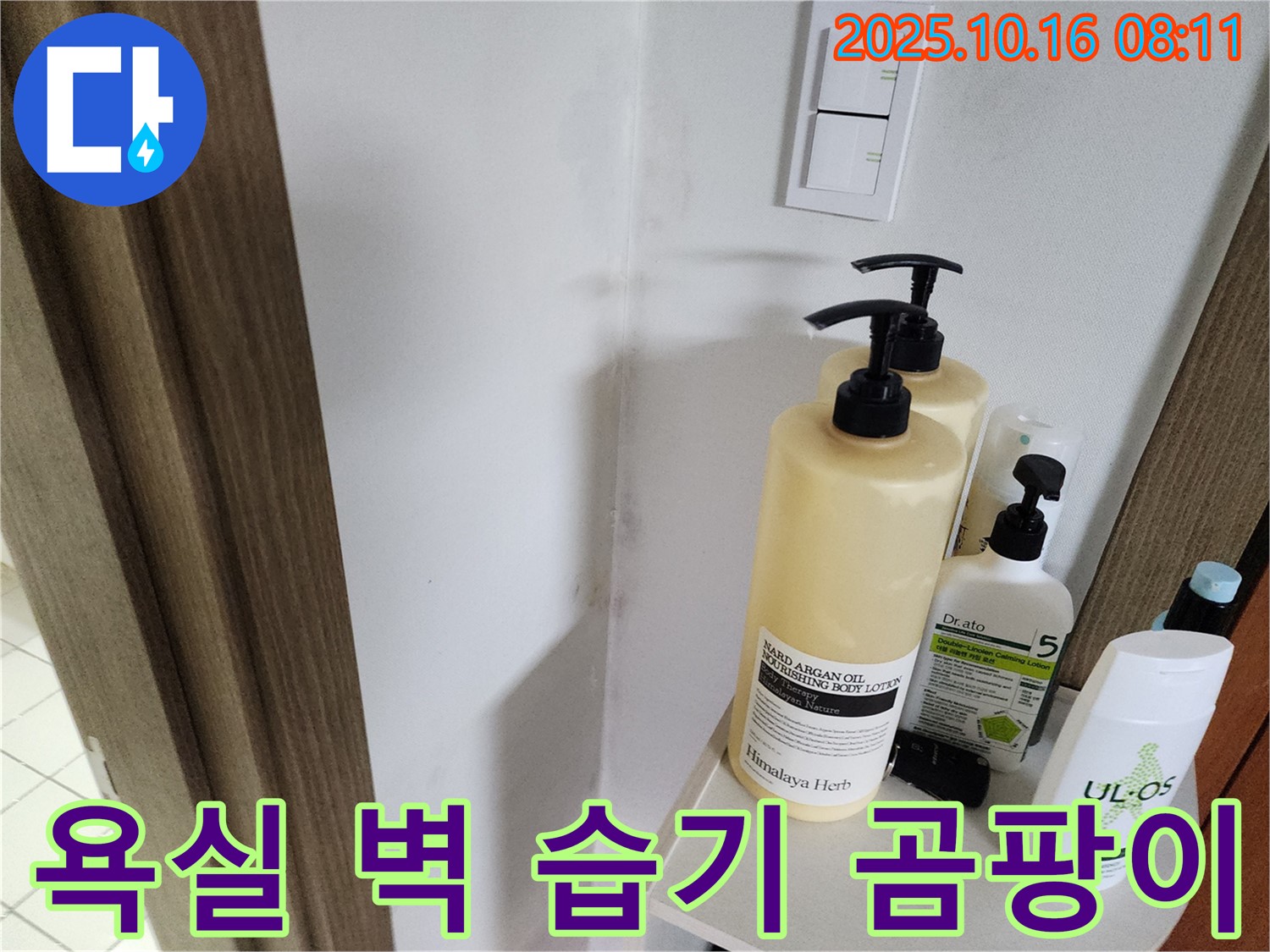 양주시 남면 경신리 - 욕실 벽 곰팡이 - 습기와의 전쟁을 선포하고 누수 해결