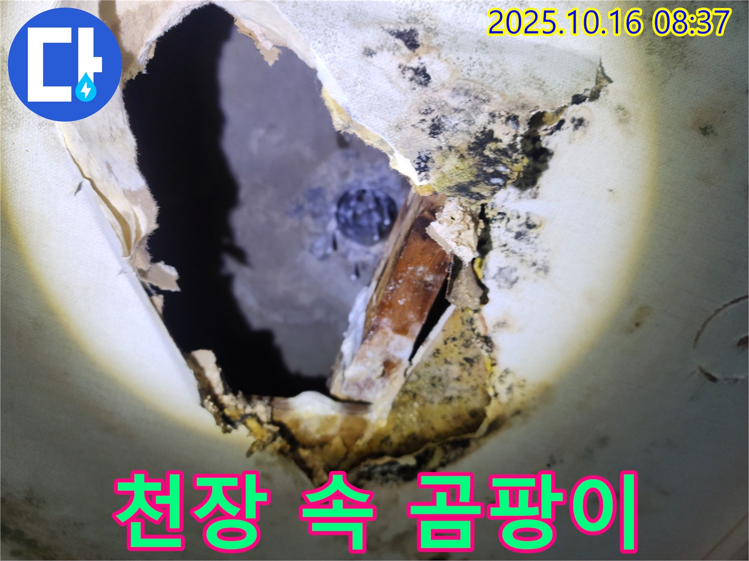 양주시 남면 경신리 주택 천장 속 - 곰팡이가 가득한 천장 속 모습입니다 - 누수와의 전쟁을 선포합니다.