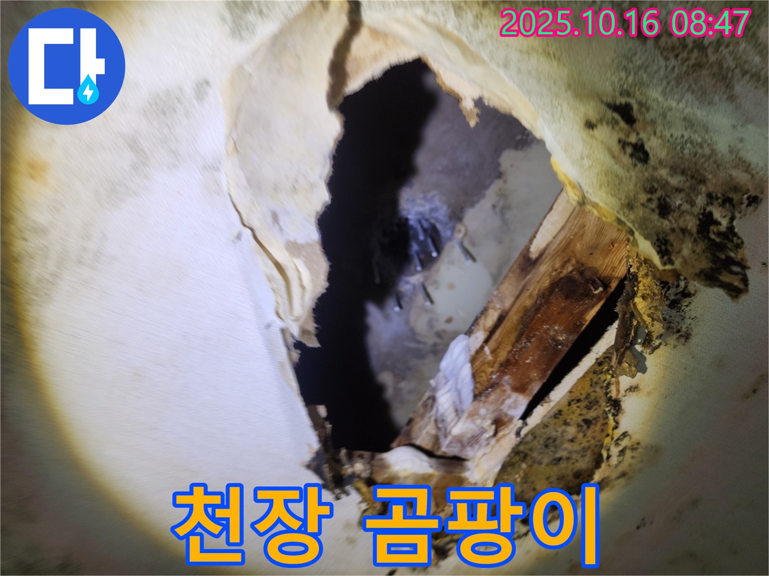 양주시 누수 - 내려앉은 천장과 곰팡이 냄새 - 건물 붕괴 위험, 긴급 보수 필요