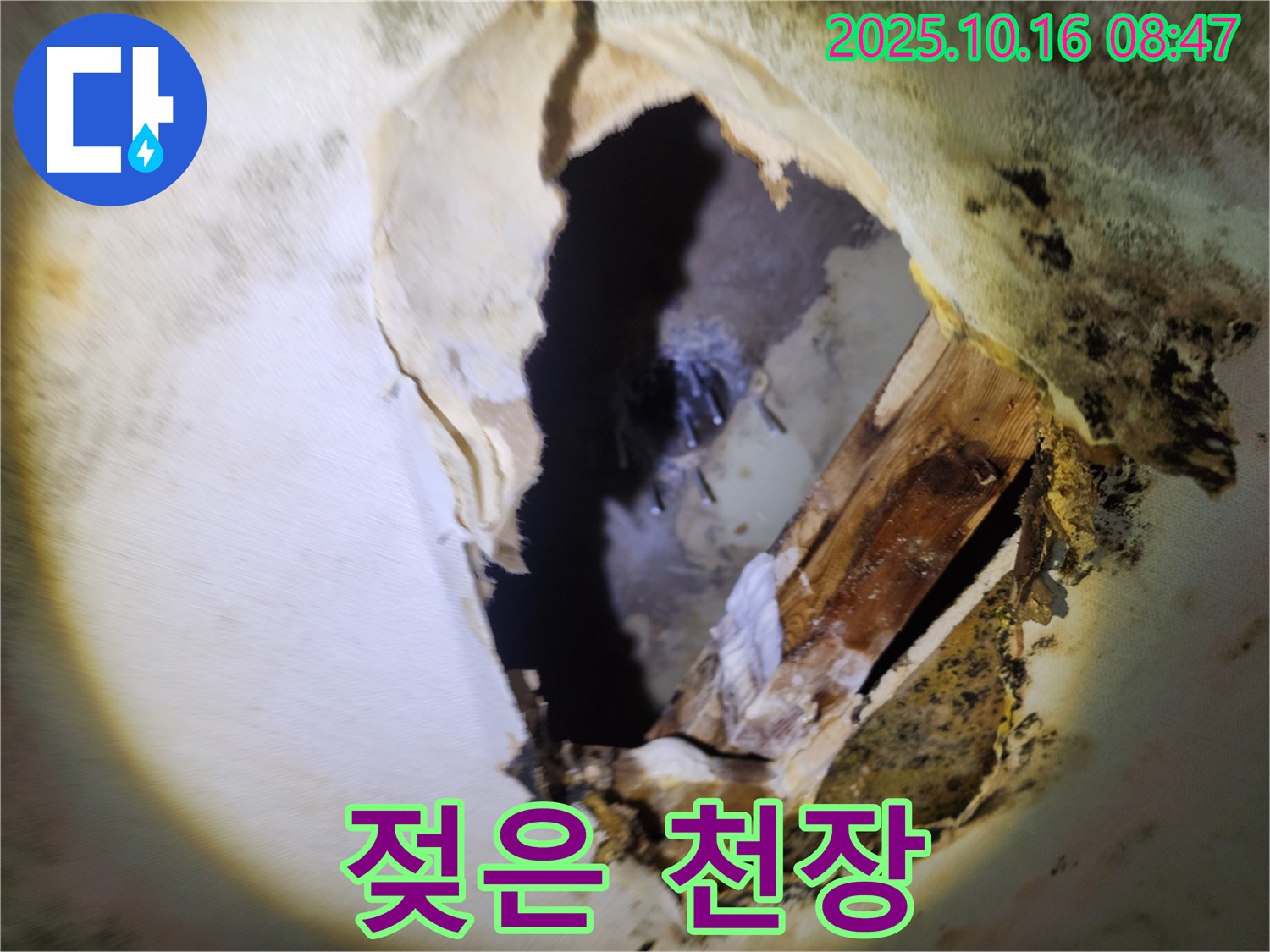 양주시 누수탐지 - 곰팡이 냄새와 젖은 천장 - 숨겨진 누수를 의심하고 정밀 검사 및 완벽 차단을 약속드립니다.