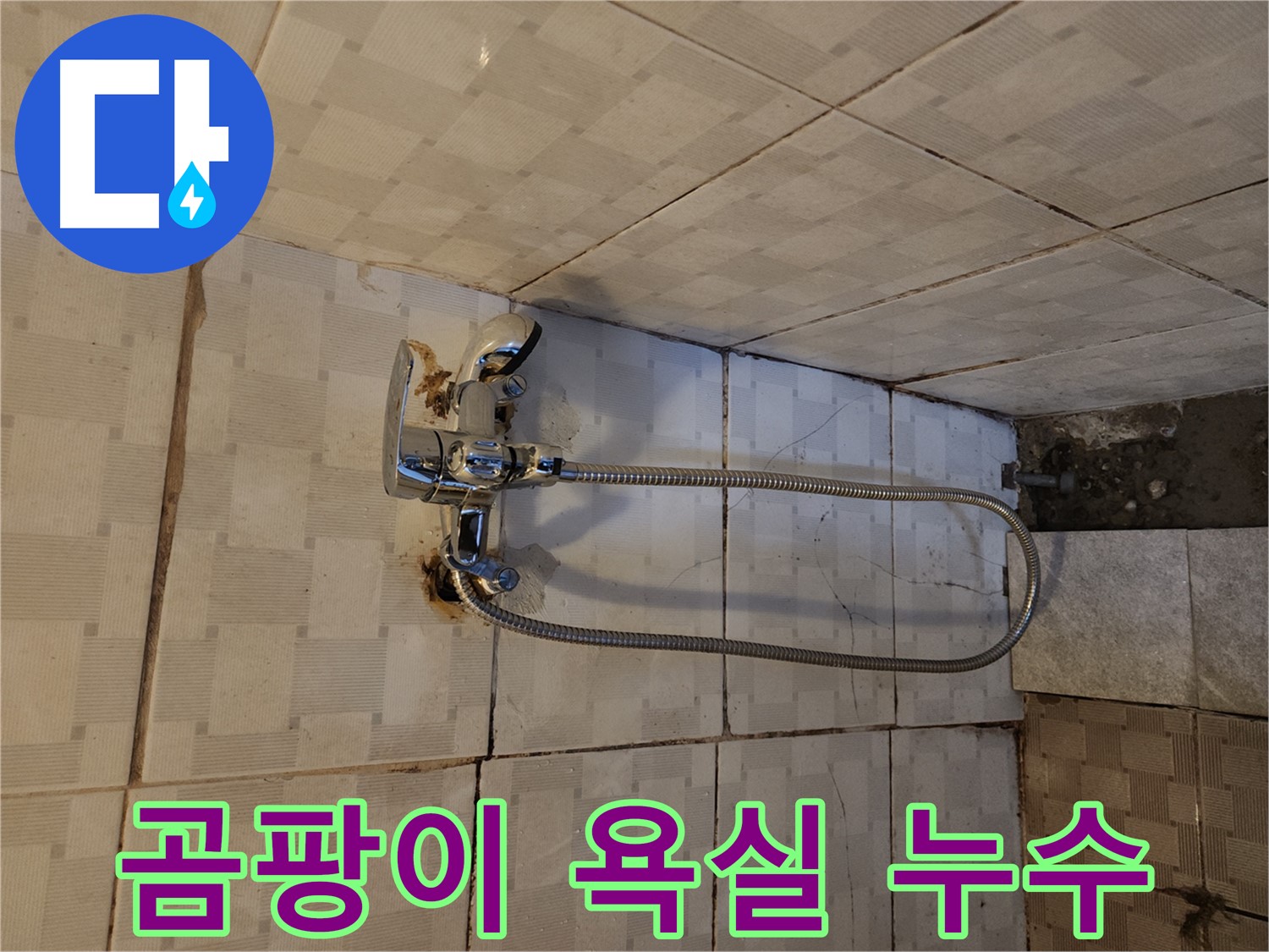 구로2동 누수 - 곰팡이 핀 욕실, 샤워기 누수가 원인