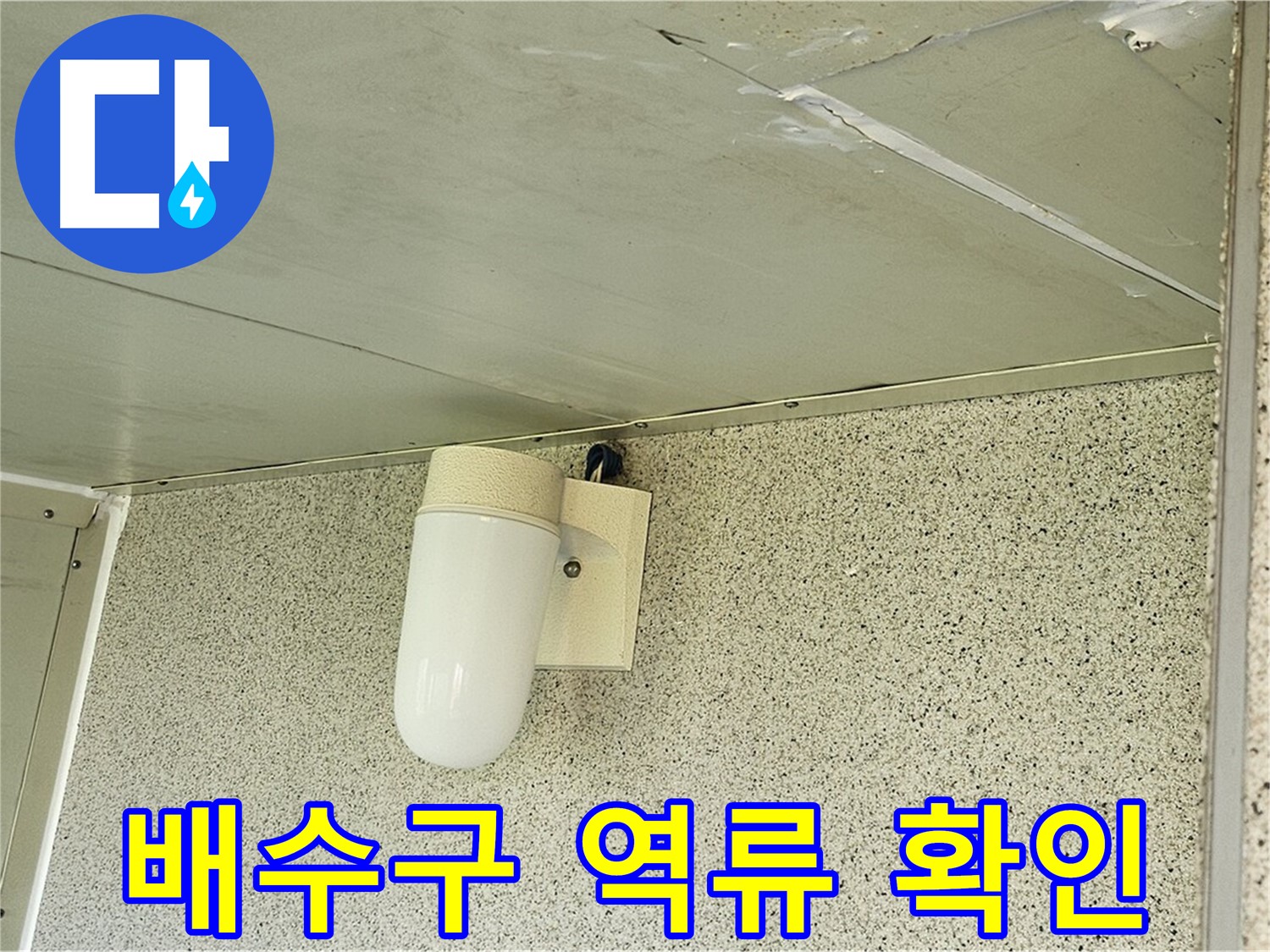 세탁실 배수구 역류 - 세탁실 배수구에서 물이 역류하는 모습입니다.