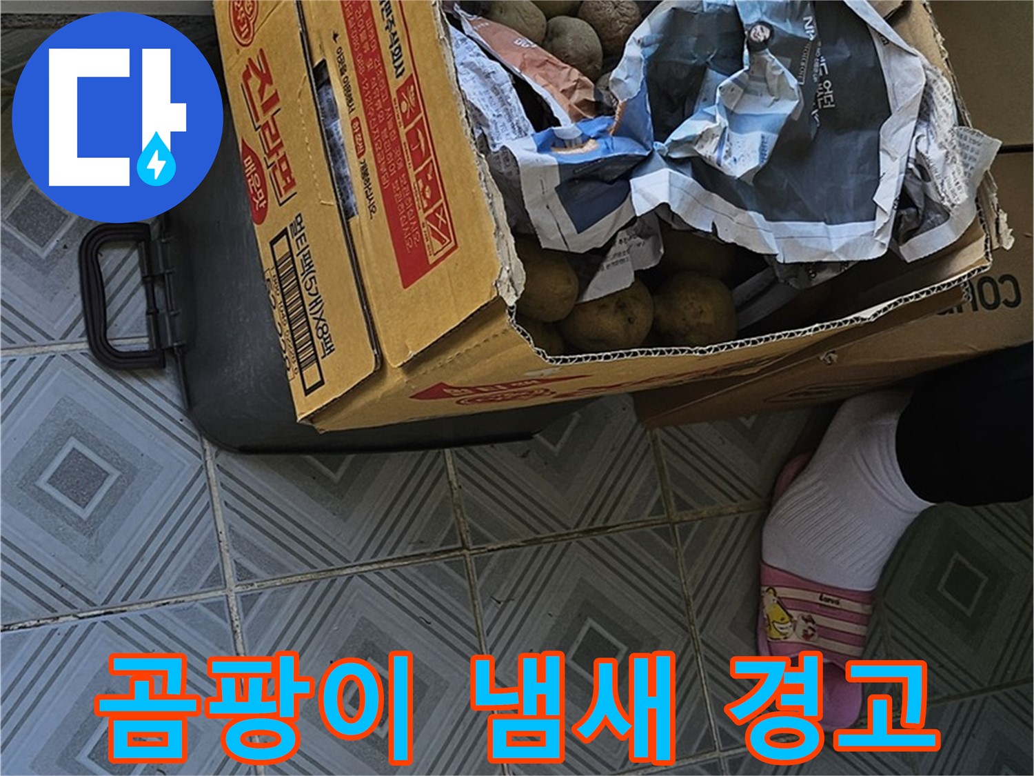 신월1동 엘리시안 A동 누수 현장 - 감자 박스 주변에서 곰팡이 냄새가 난다면 누수 경고등이 켜진 것입니다 - 즉시 점검하세요.