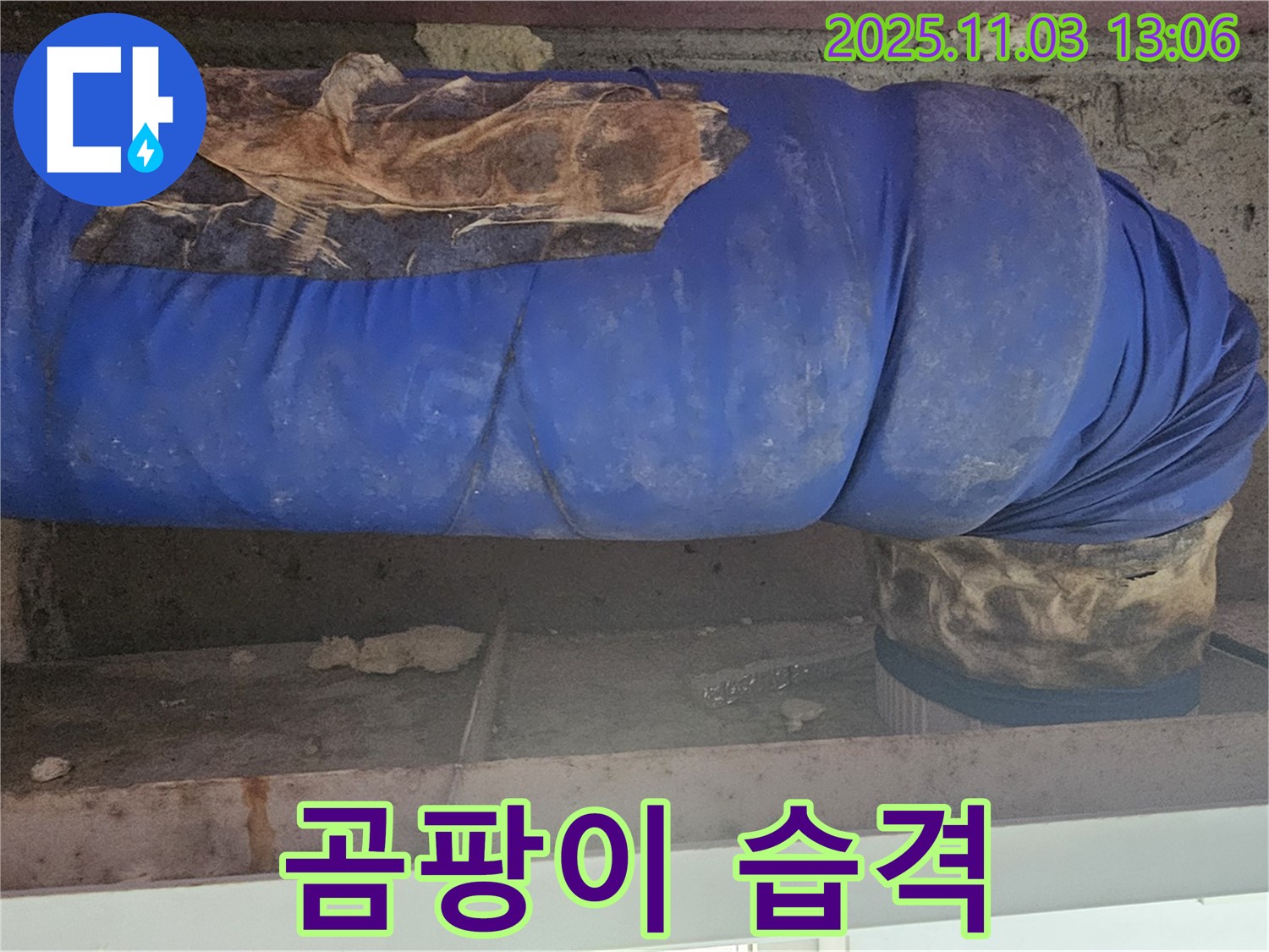 신월동 누수 현장 - 찢어진 파란 보온재 속에서 자라나는 곰팡이의 습격 현장입니다.