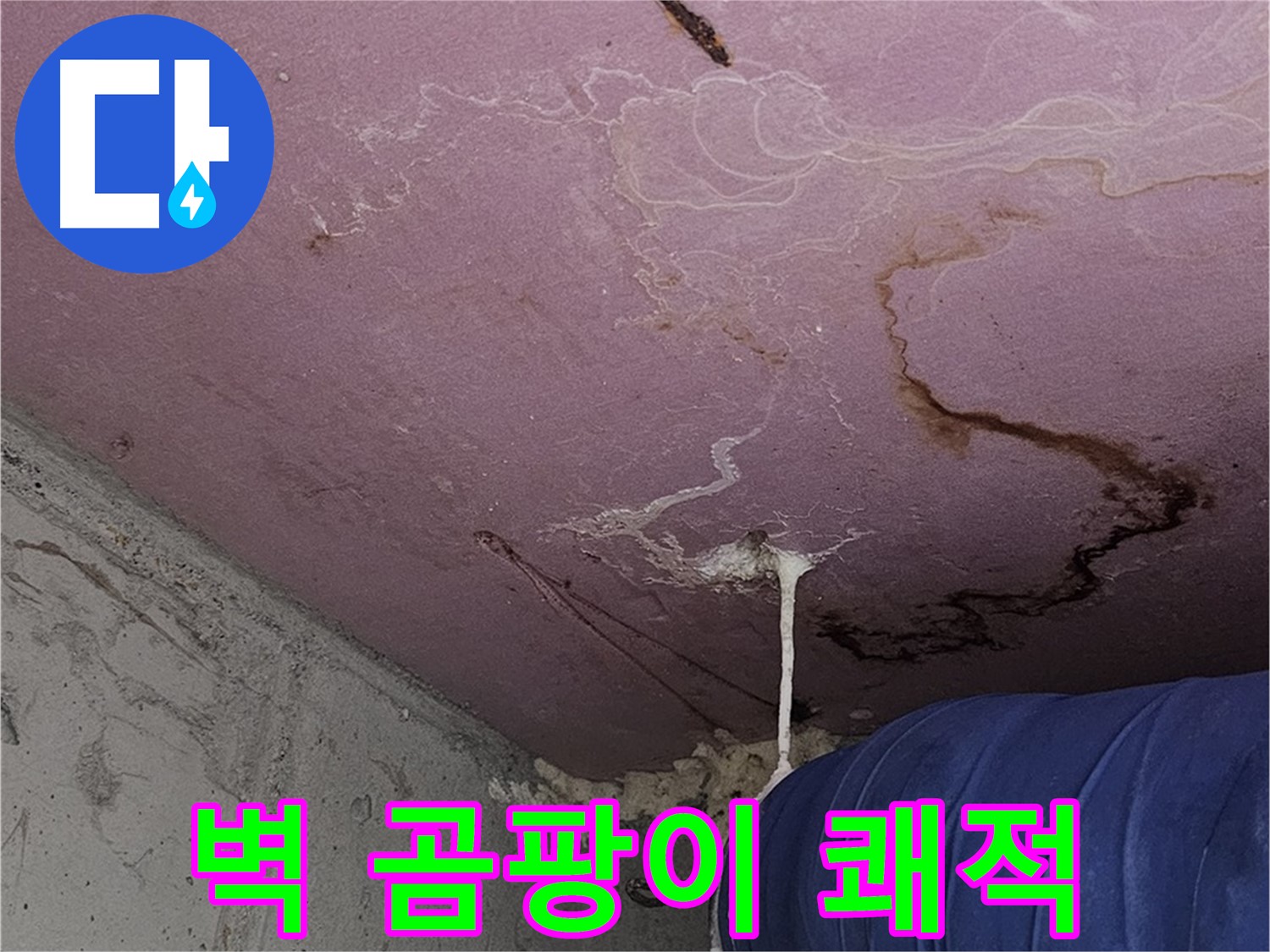 신월동 양천구 누수 - 벽 곰팡이 - 쾌적한 환경