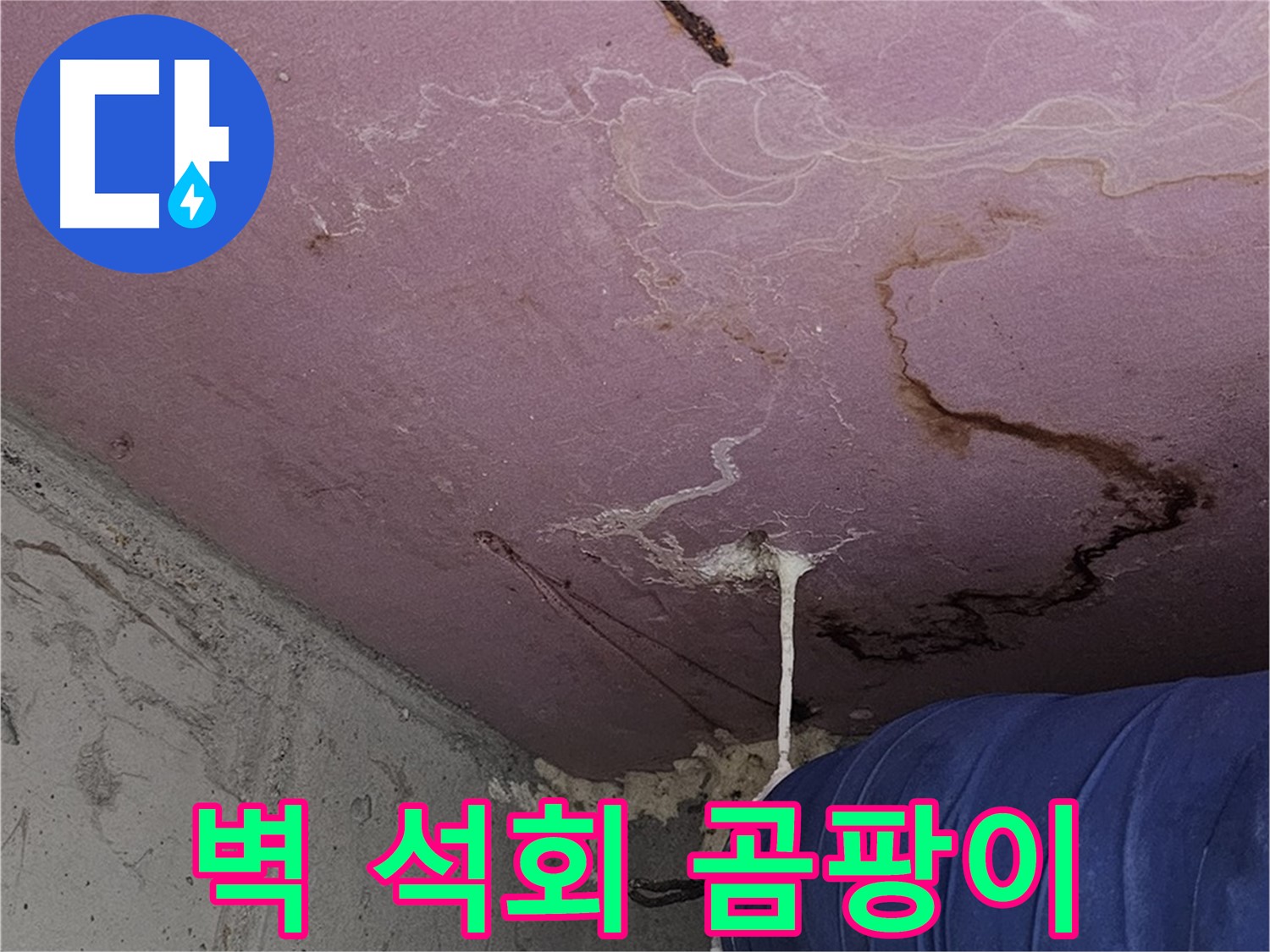 신월동 양천구 누수 - 벽 석회수, 곰팡이 - 재발 방지