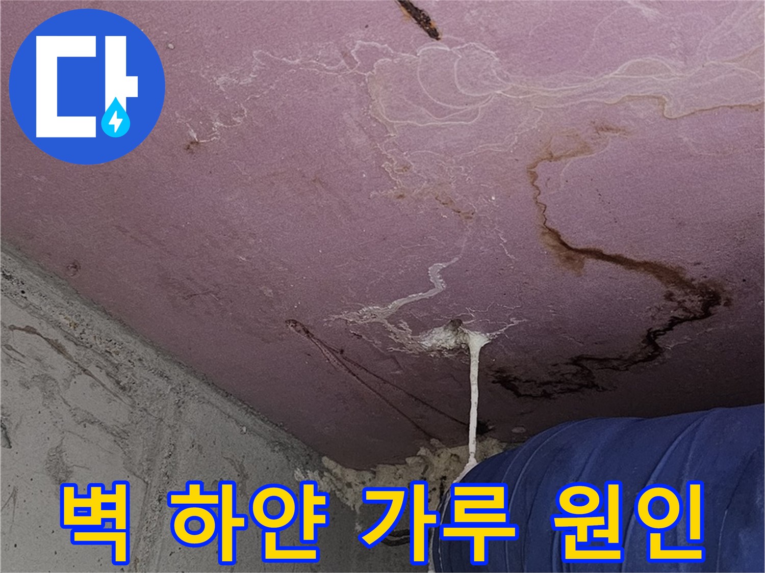 양천구 신월동 누수 - 벽 하얀 가루 - 석고보드 원인 제거
