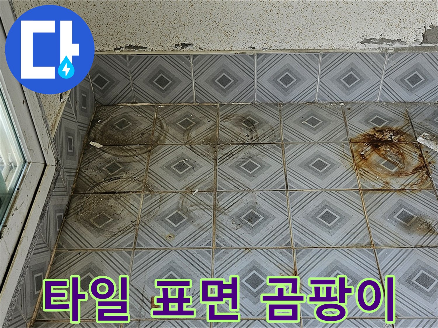 양천구 신월동 누수 - 타일 표면 곰팡이로 인한 누수