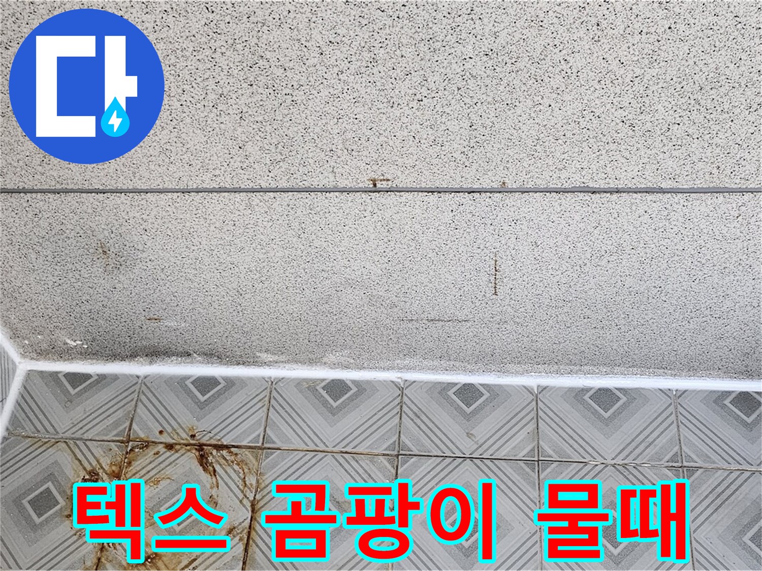 양천구 - 텍스 곰팡이 - 타일 물때 - 쾌적함 파괴