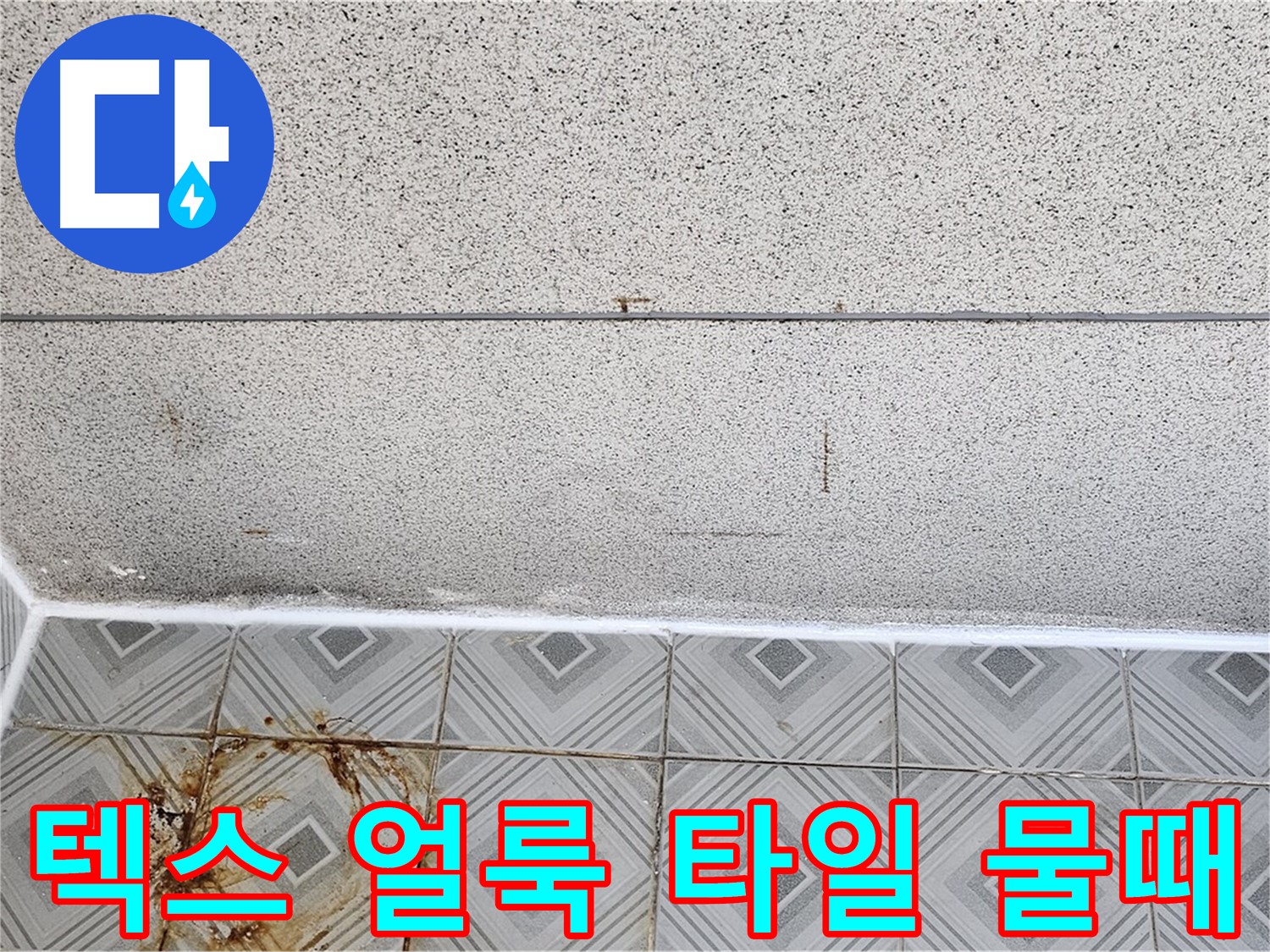 양천구 텍스 얼룩 - 타일 물때 - 결로 vs 누수?