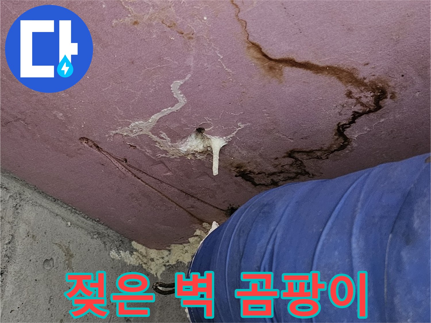 엘리시안 A동 젖은 벽 - 곰팡이 서식