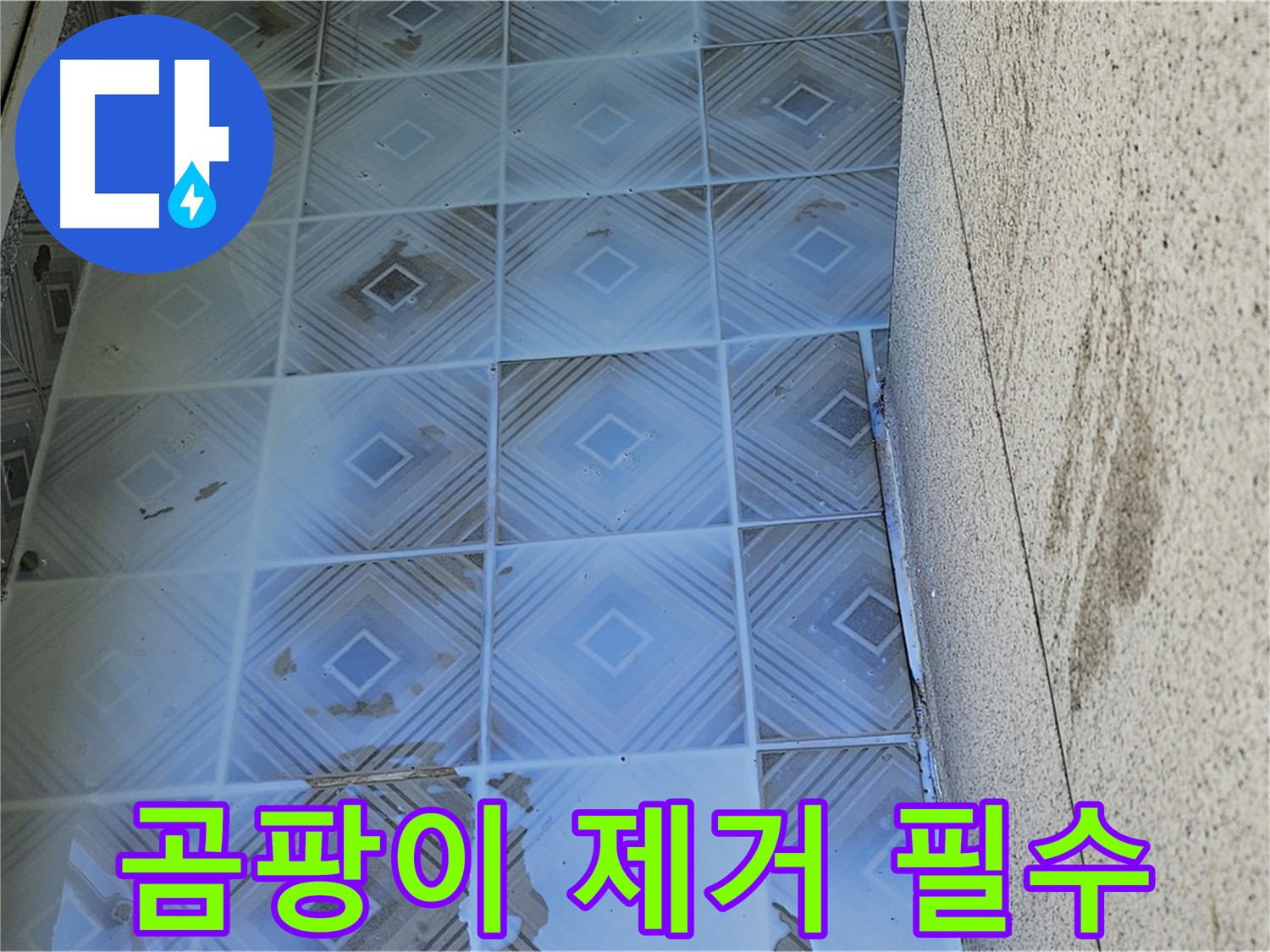 타일 누수 - 틈새 곰팡이 제거 - 건강 지킴이