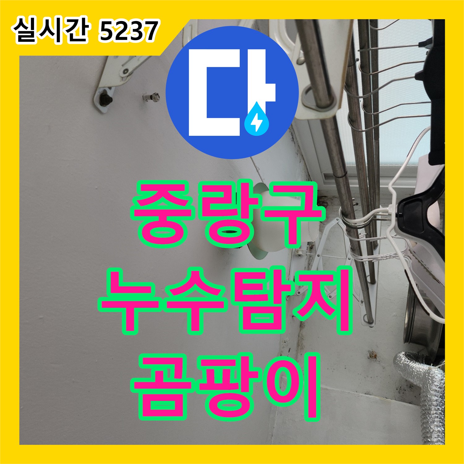중랑구, 누수탐지! 곰팡이 누수 원인 찾고 해결
