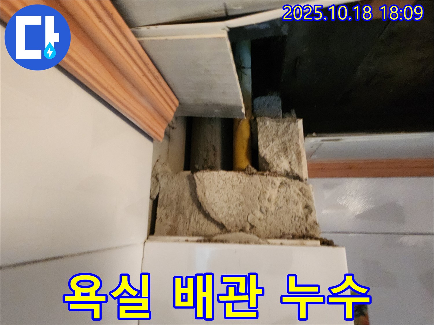양주시 장흥면 교현리 욕실 배관 누수 - 긴급 점검으로 초기 누수 발견 및 해결