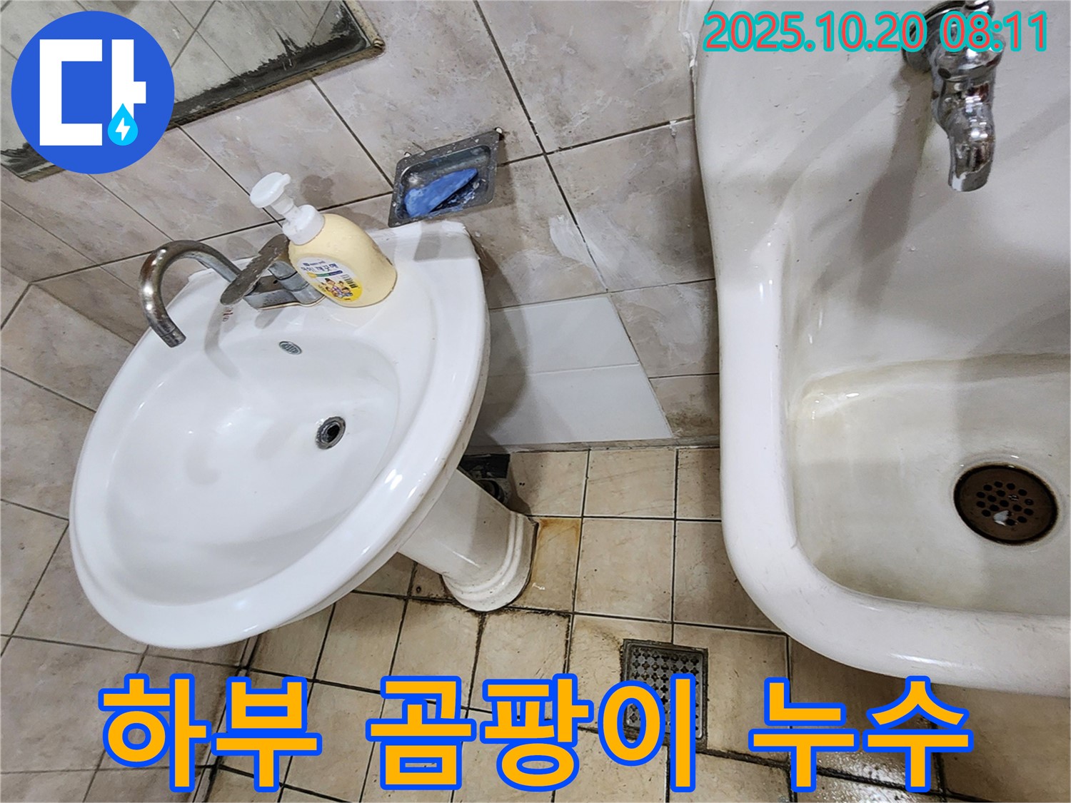 양주 장흥면 석현리 - 세면대 하부 곰팡이 - 곰팡이 제거와 누수 해결!