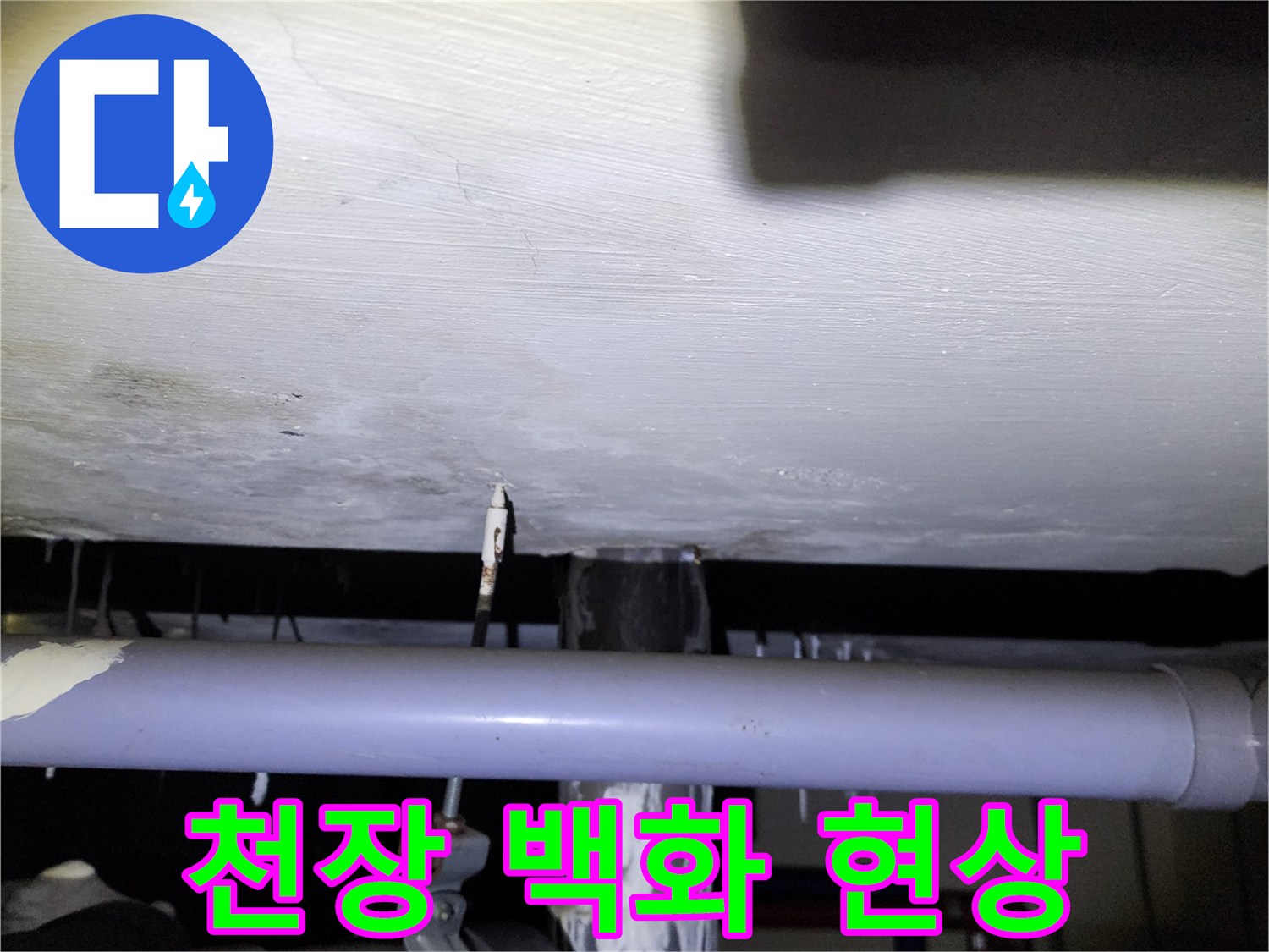 양주시 석현리-아래층 천장 백화 현상 및 누수 흔적