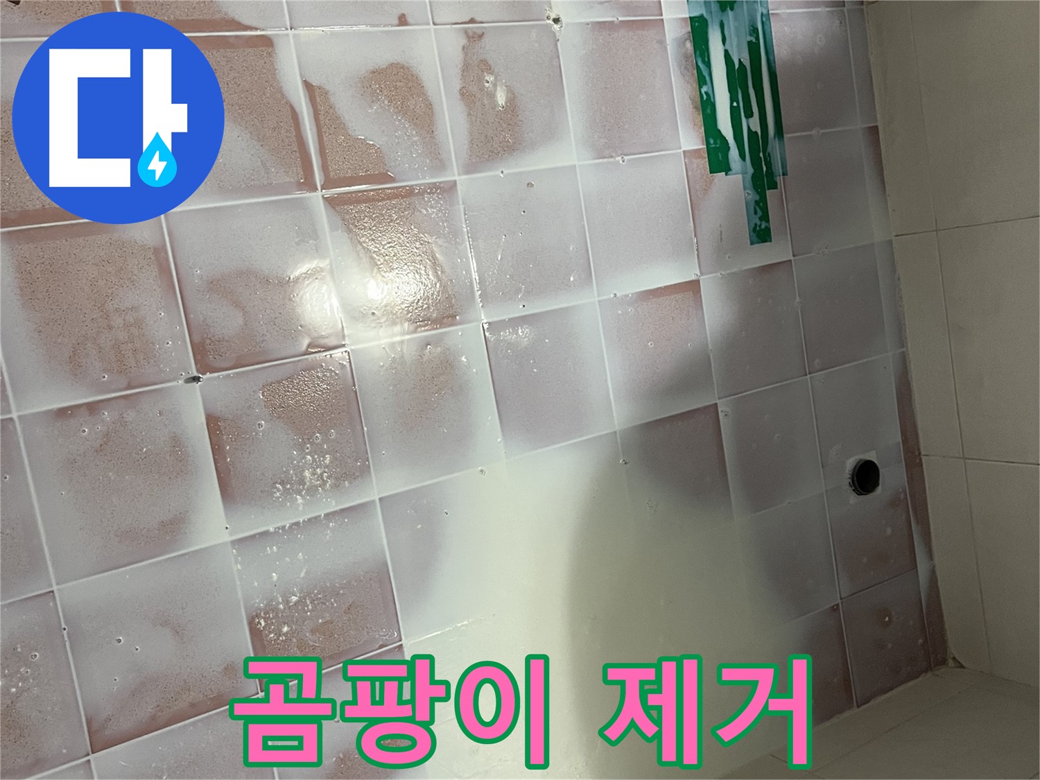 곰팡이 제거 - 싹싹 닦아내기