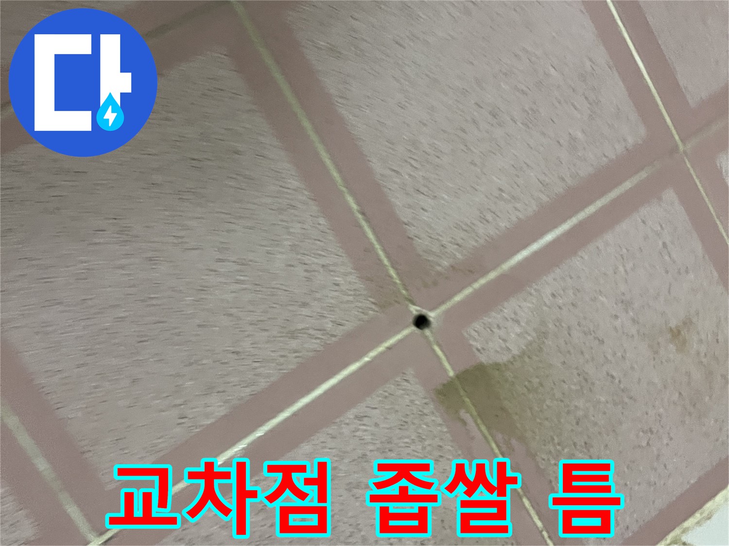 타일 교차점 좁쌀만한 틈 - 금천구 독산동 누수