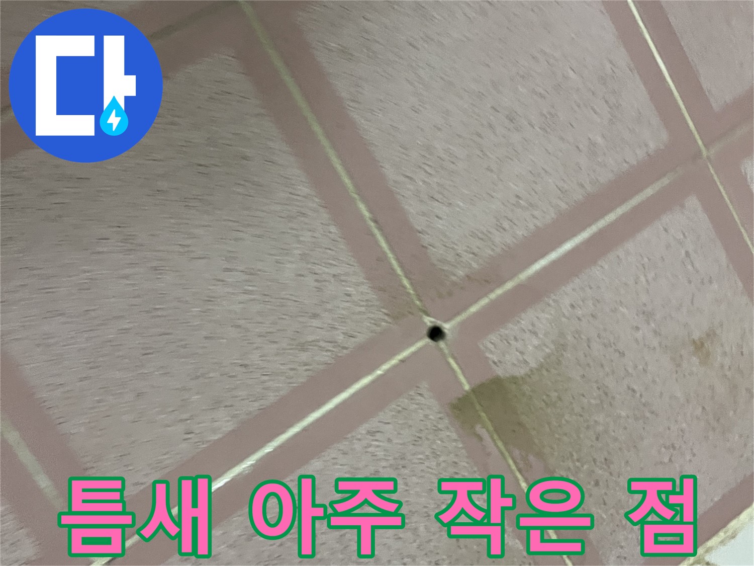 타일 틈새 아주 작은 점 - 금천구 형제빌 누수