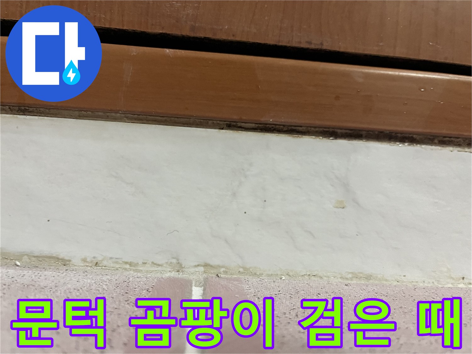 형제맨션빌 누수 - 문턱 아래 타일 틈새 곰팡이와 검은 때