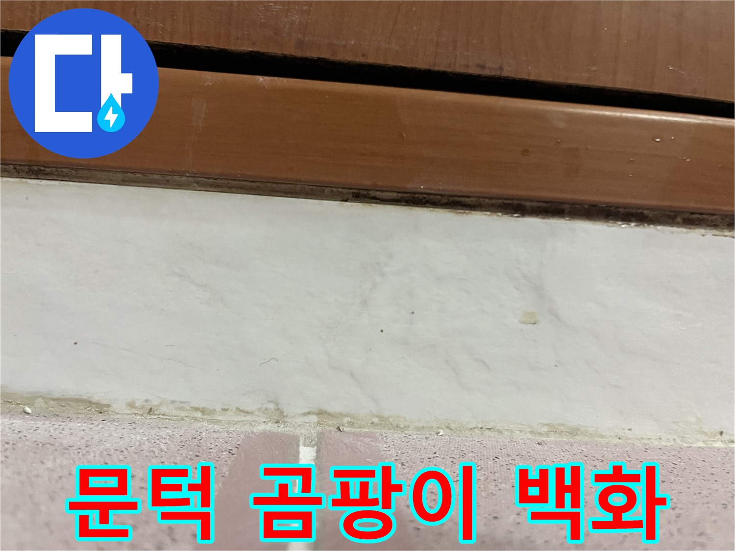형제맨션빌 누수 - 문턱 아래 타일 틈새 곰팡이와 백화현상