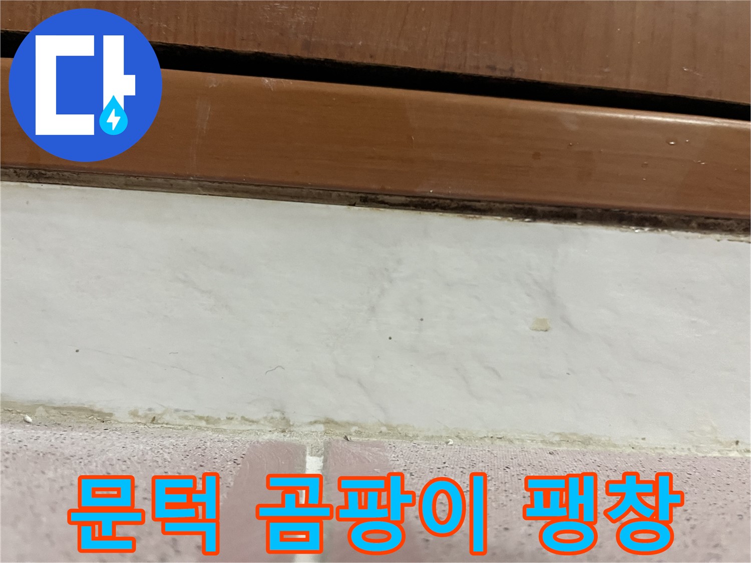 형제맨션빌 누수 - 문턱 아래 타일 틈새 곰팡이와 팽창