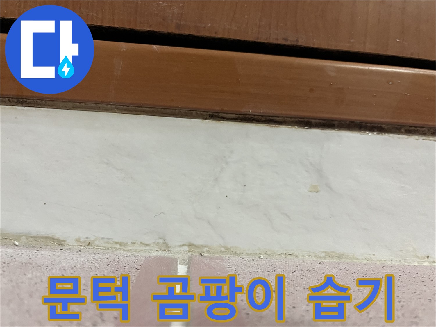 형제맨션빌 누수 - 문턱 주변 타일 틈새 곰팡이와 습기