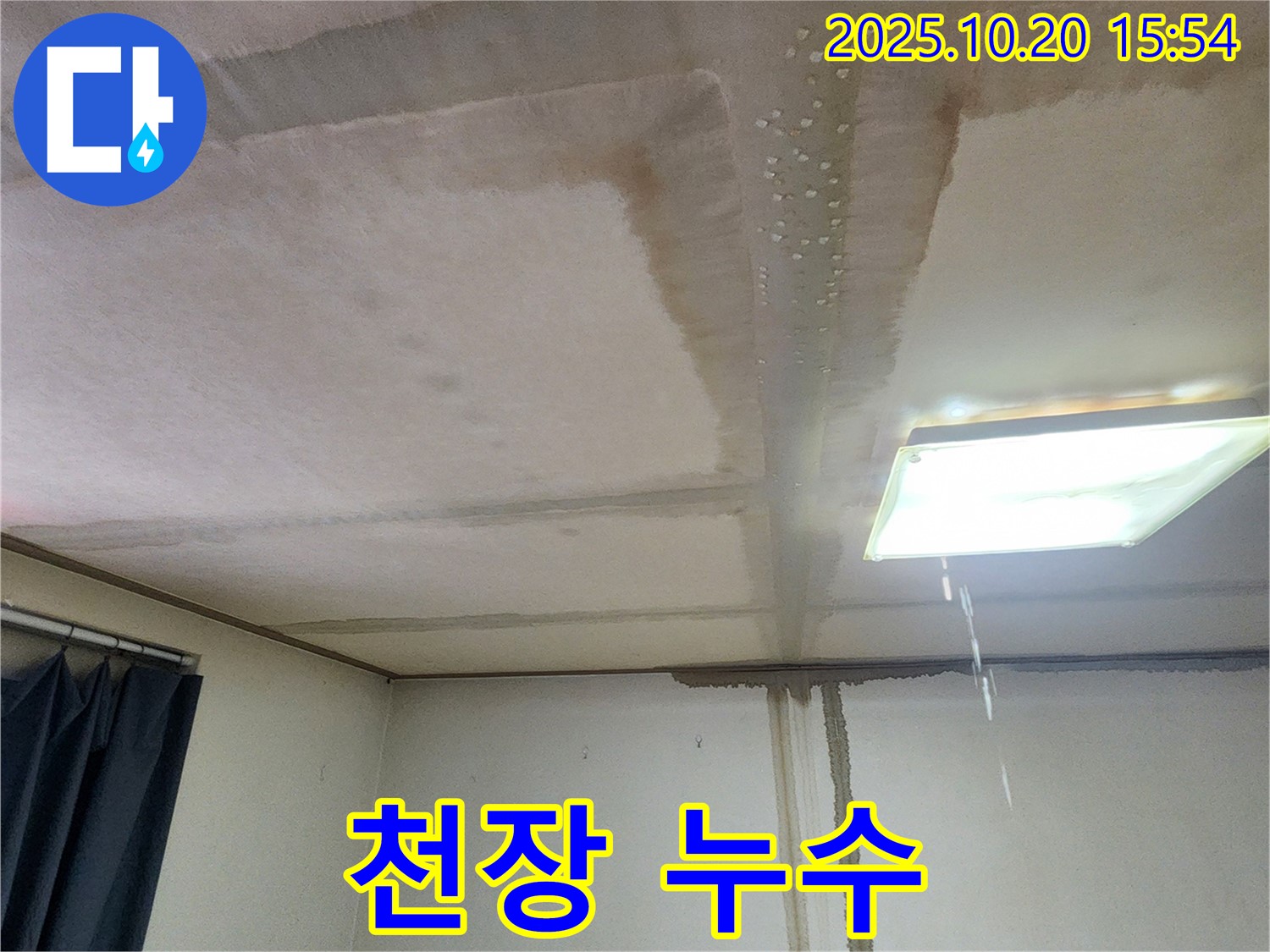 양주시 부곡리 천장 누수 - 신속한 방문 및 해결