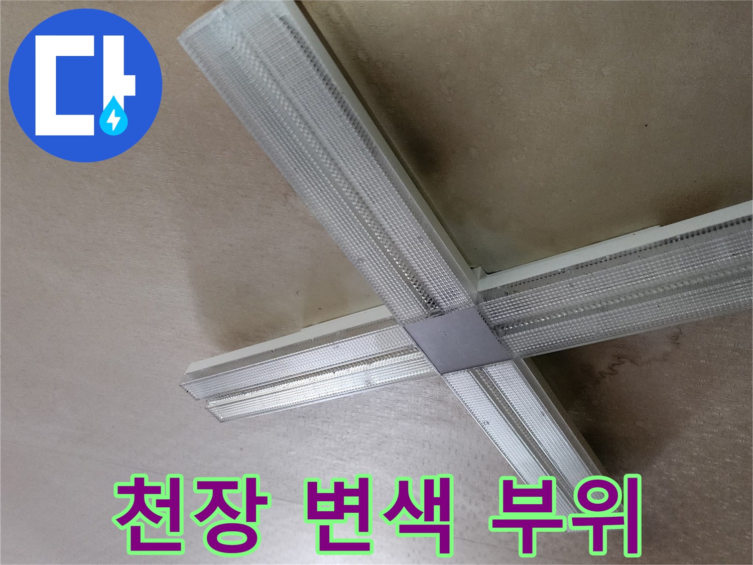 양주시 은현면-천장 조명 주변의 습기 흔적
