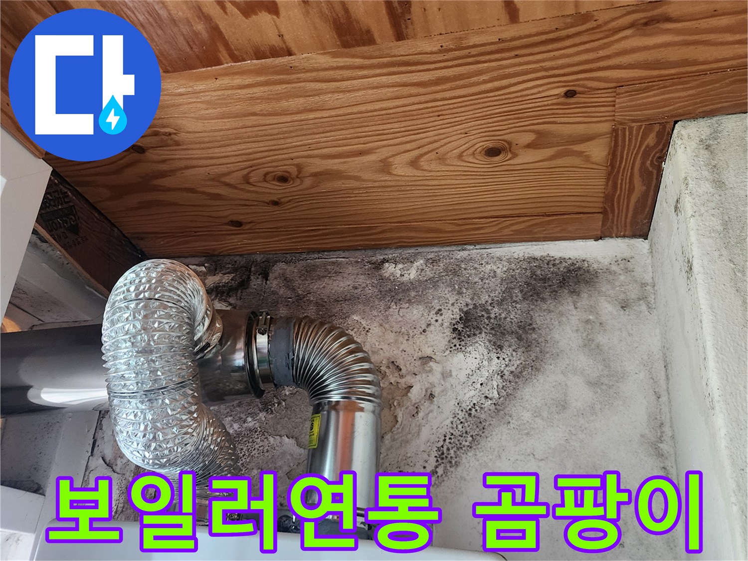 보일러-연통-주변-벽면-곰팡이-발생-상태