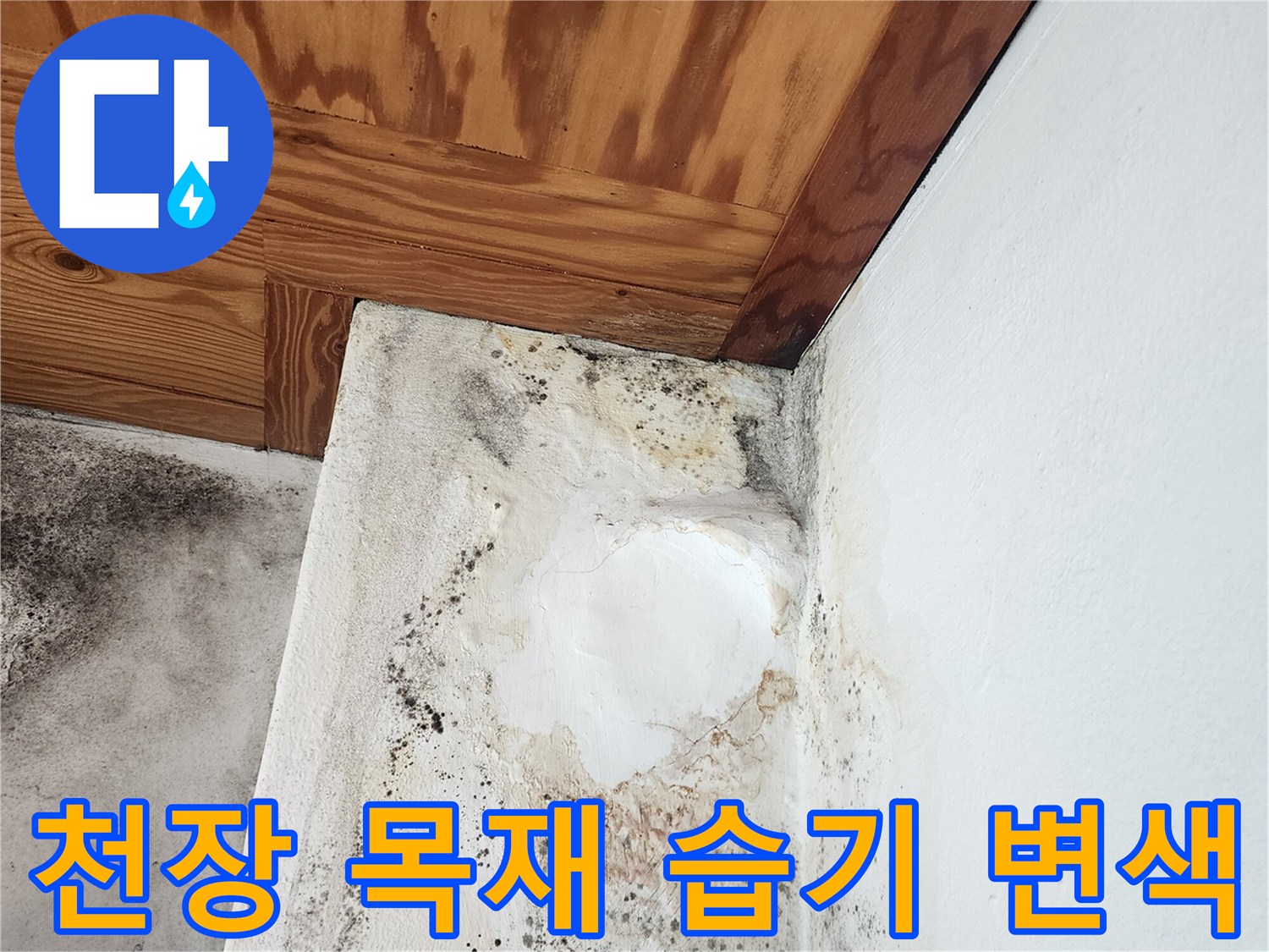 보일러실 천장-습기로 인해 짙게 변색된 목재 구조물