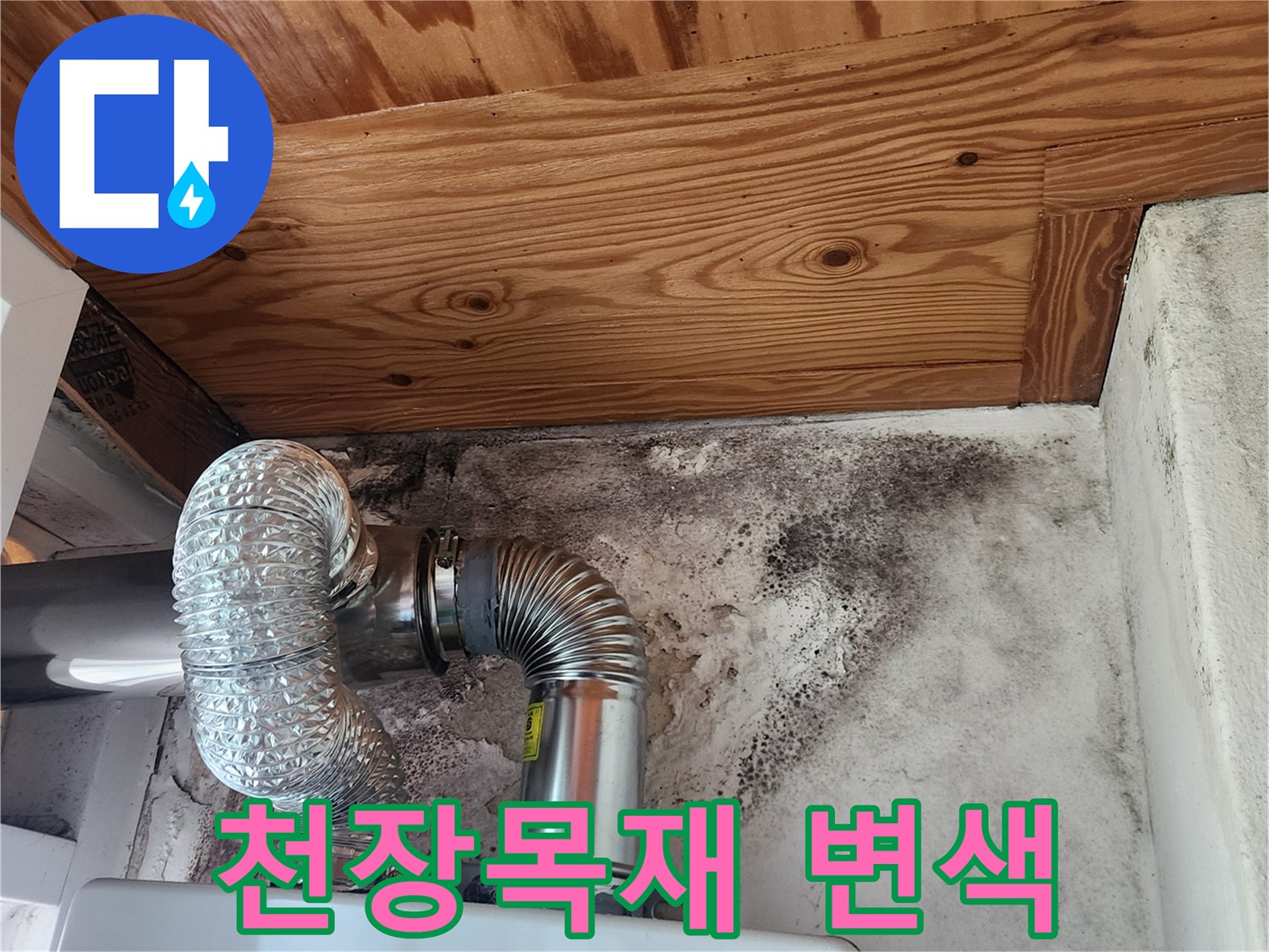 습기로-변색된-보일러실-천장-목재