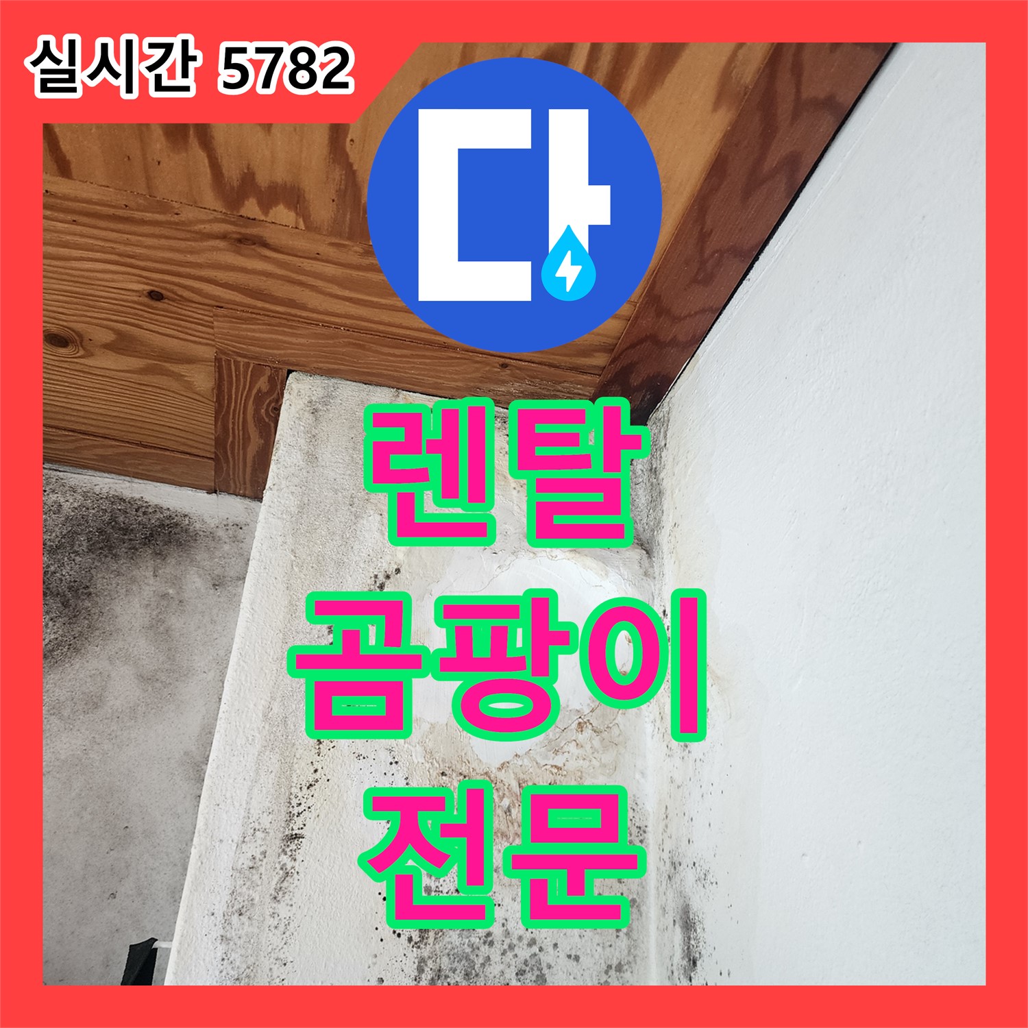 양주 누수전문, 렌탈하우스 곰팡이 문제 해결