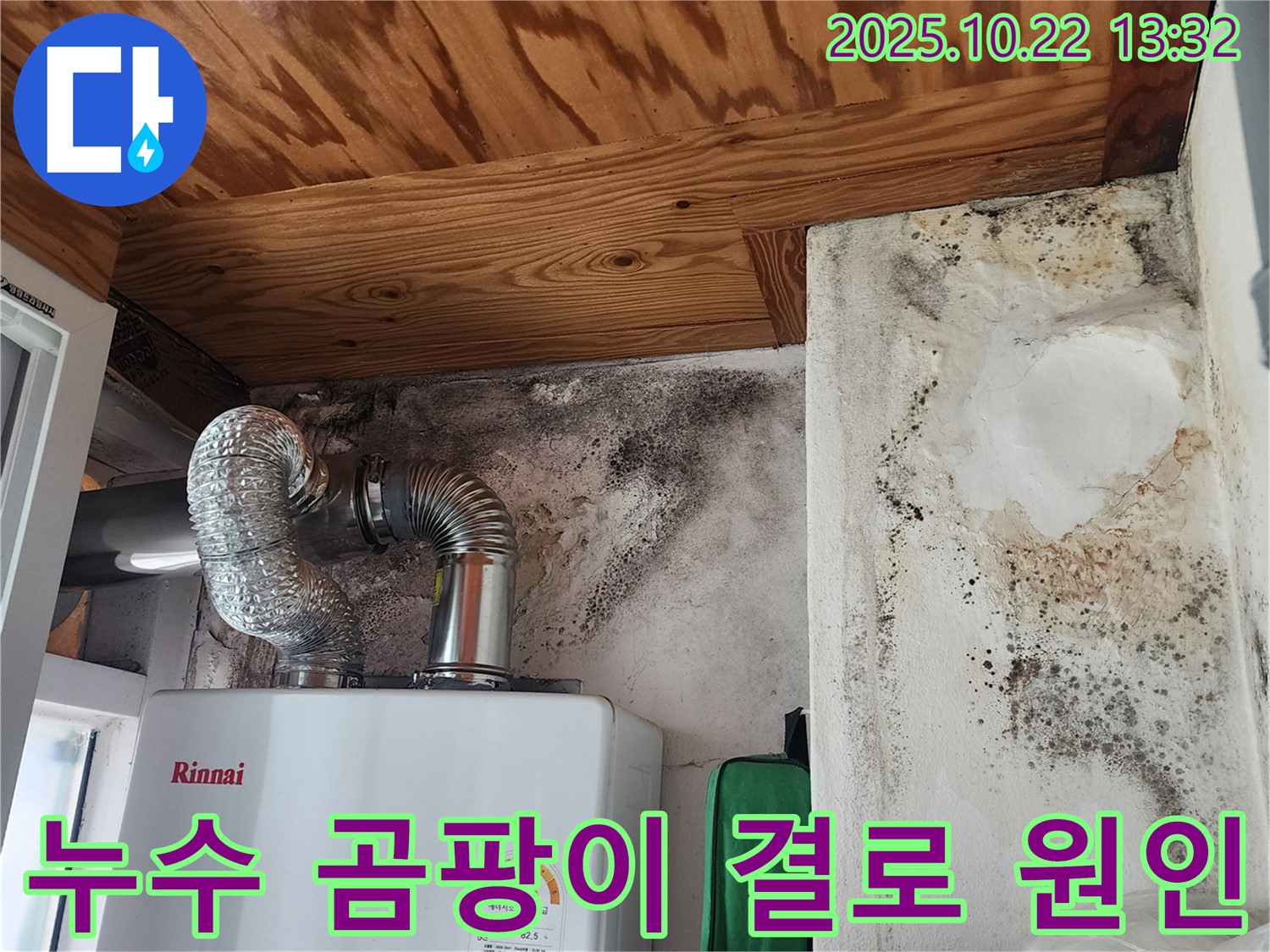 양주시 은현면 선암리 주택 벽면 곰팡이 - 누수와 결로가 복합적으로 작용한 결과입니다.